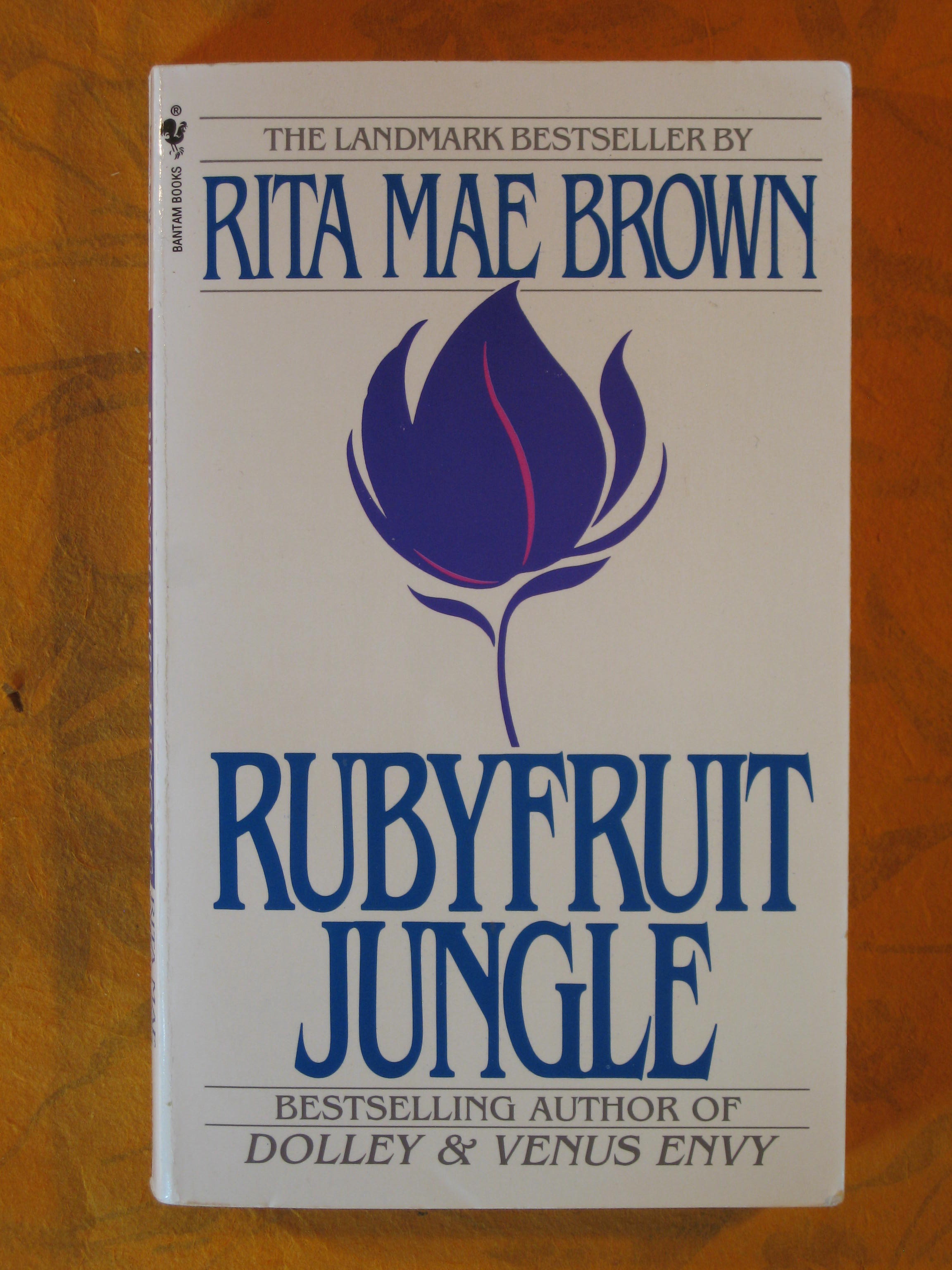 Image for Rubyfruit Jungle