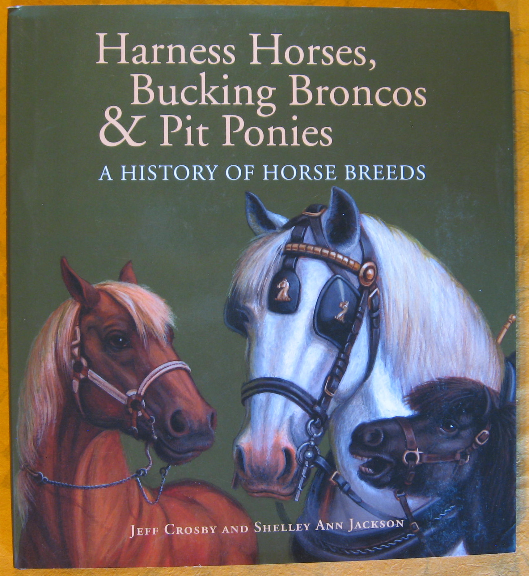 Image for Harness Horses, Bucking Broncos & Pit Ponies: A History of Horse Breeds