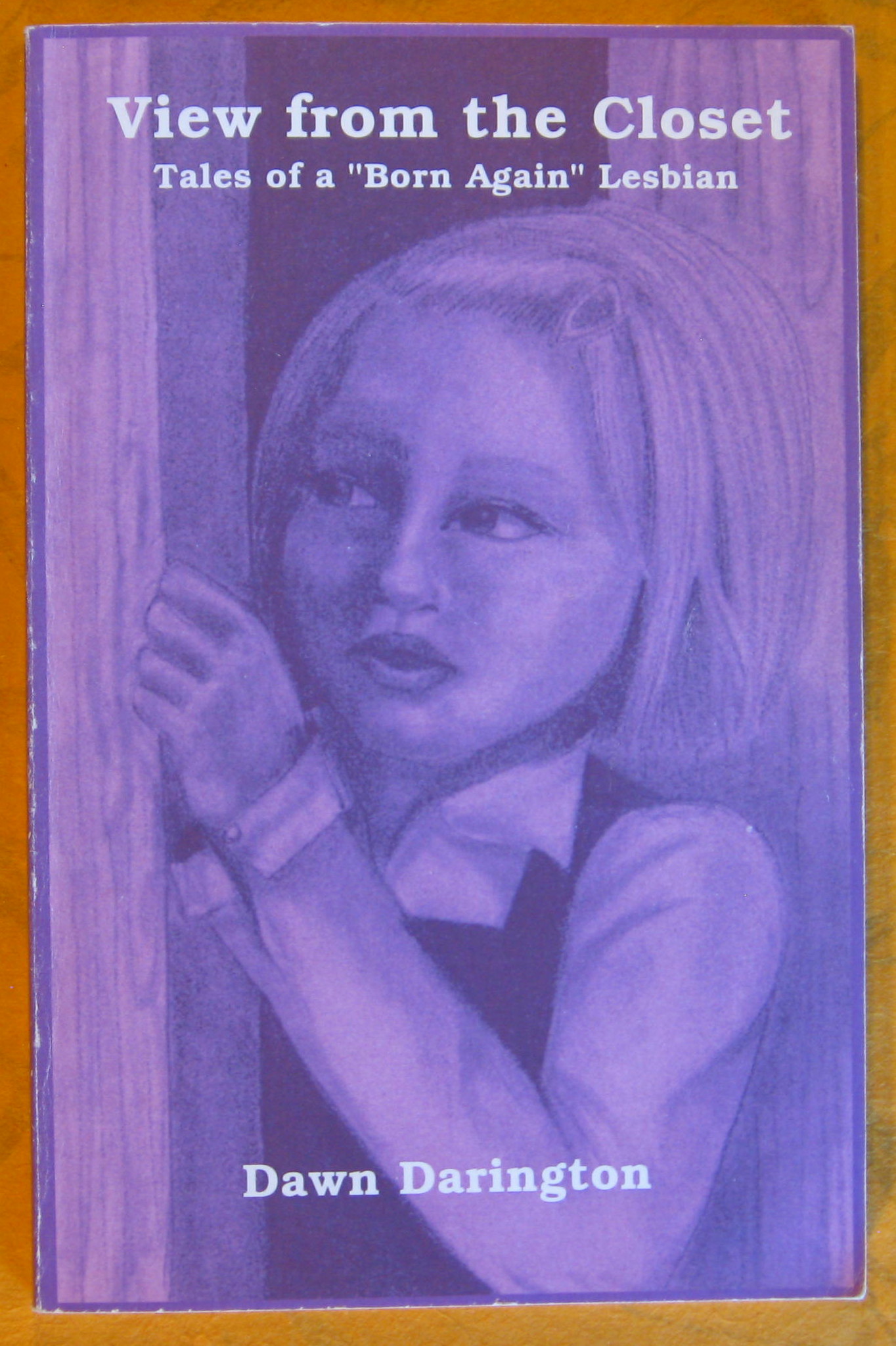 Image for View From the Closet : Tales of a "Born-again" Lesbian