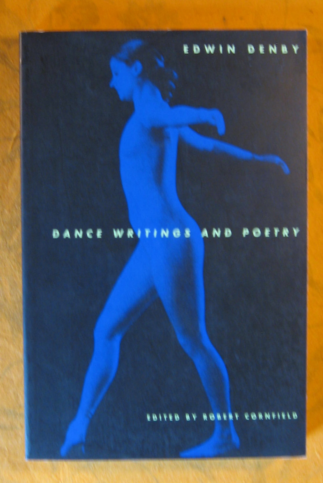 Image for Dance Writings and Poetry