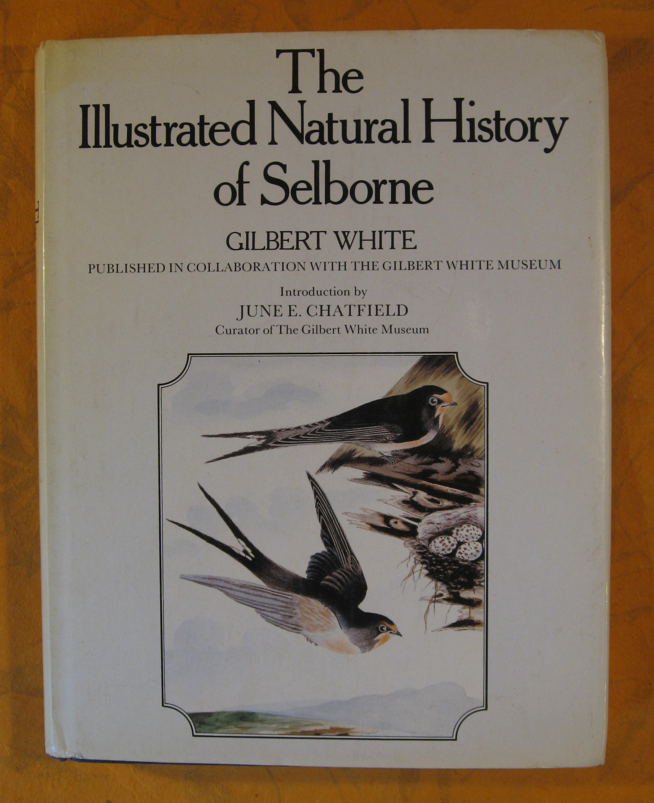 Image for The Illustrated Natural History of Selborne