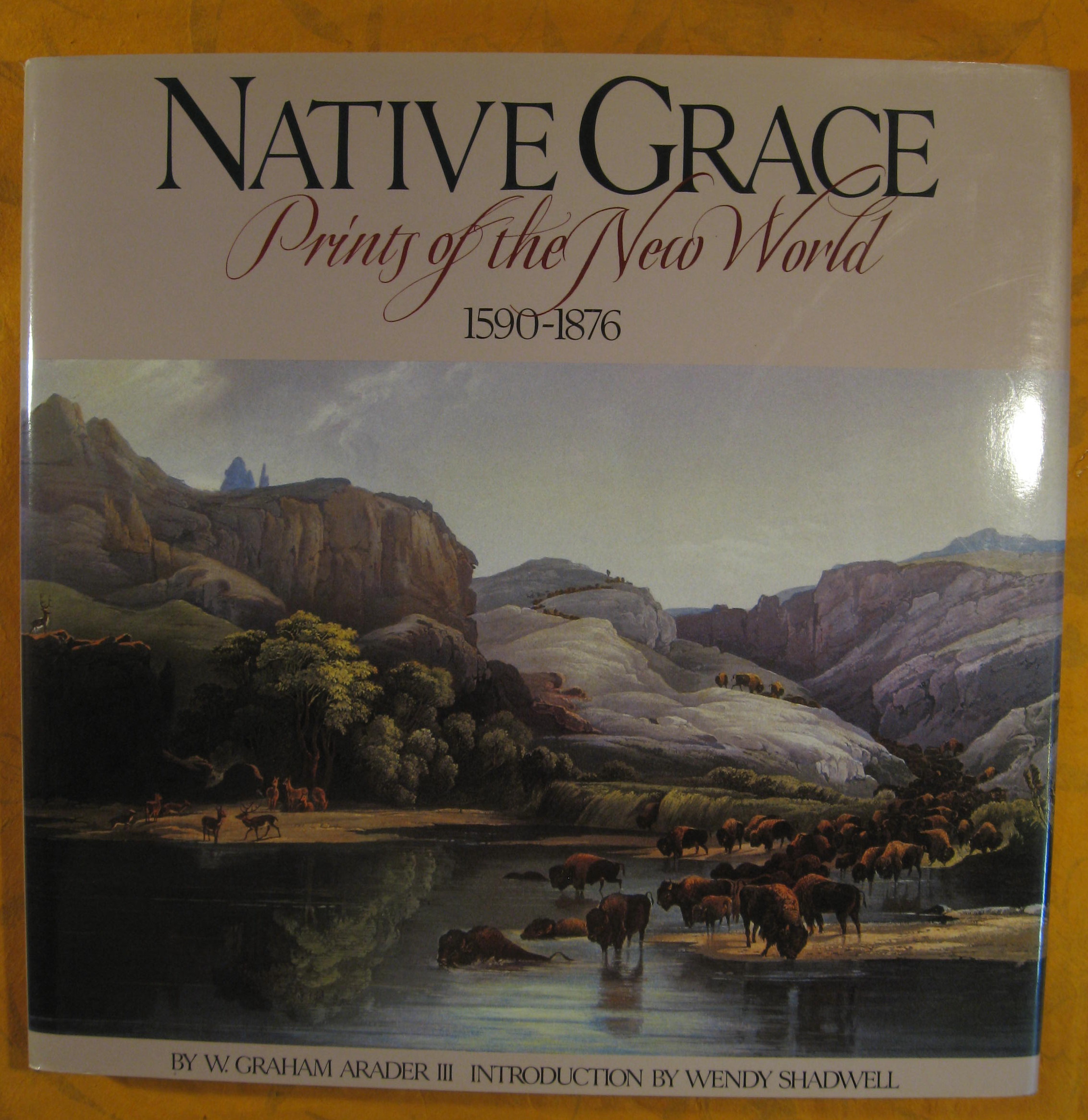 Image for Native Grace: Prints of the New World, 1590-1876