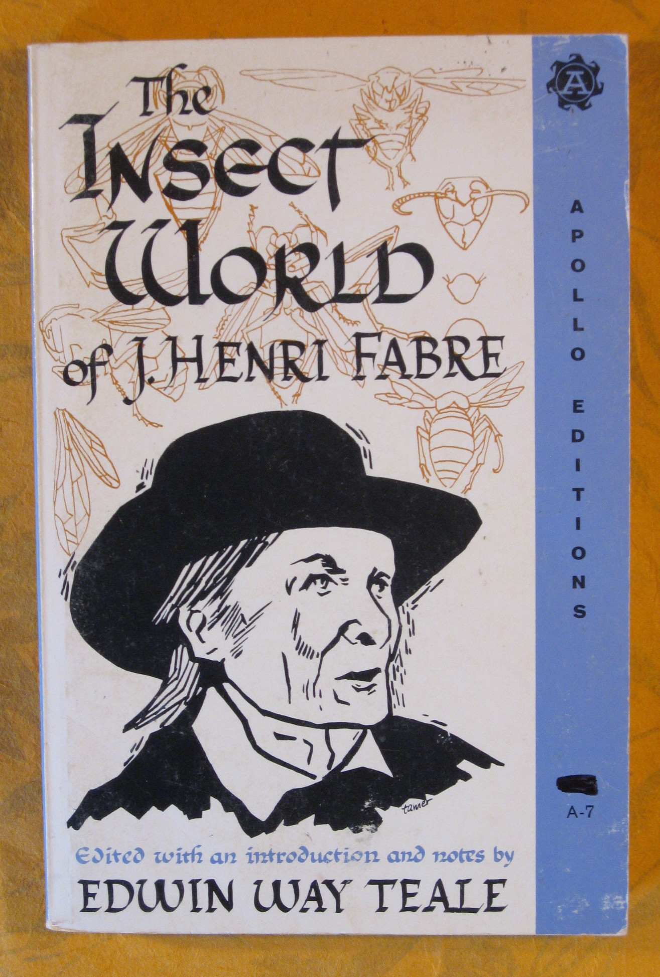 Image for Insect World of J. Henri Fabre, the