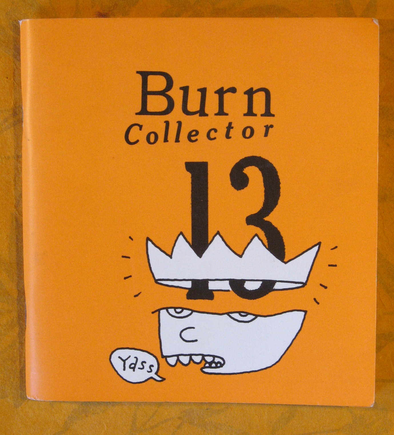 Image for Burn Collector 13