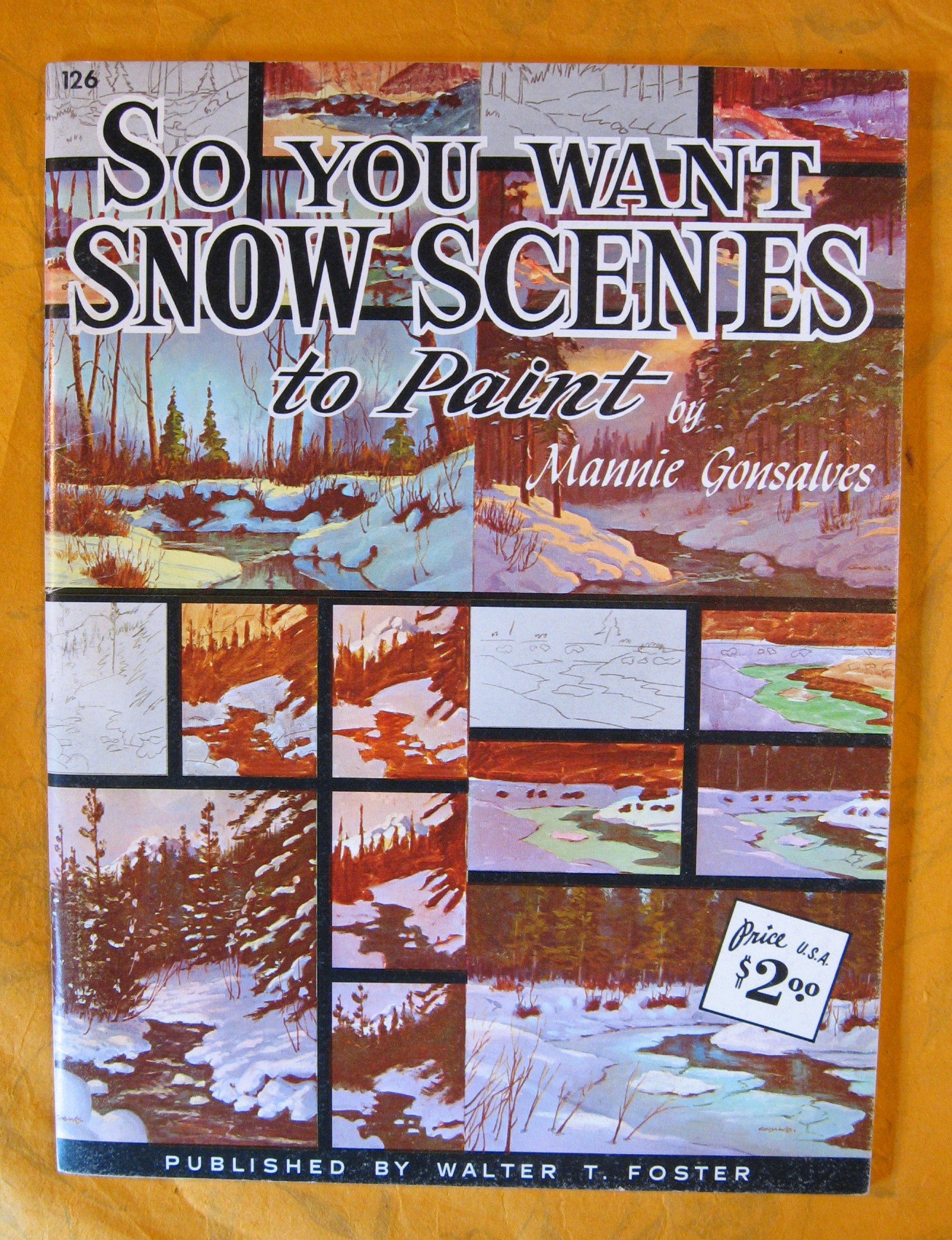 Image for So You Want Snow Scenes to Paint