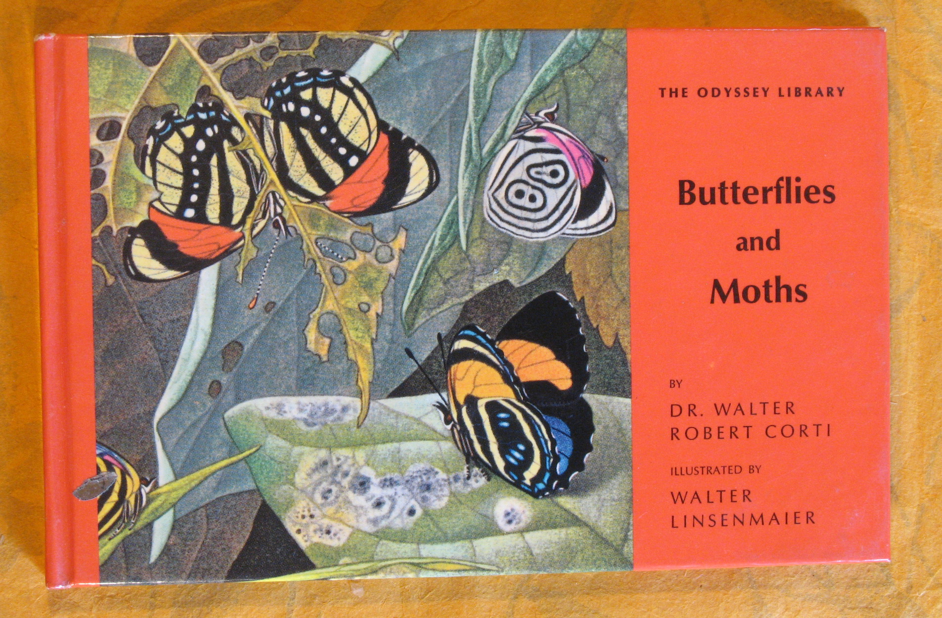 Image for The Odyssey Library 3:  Butterflies and Moths