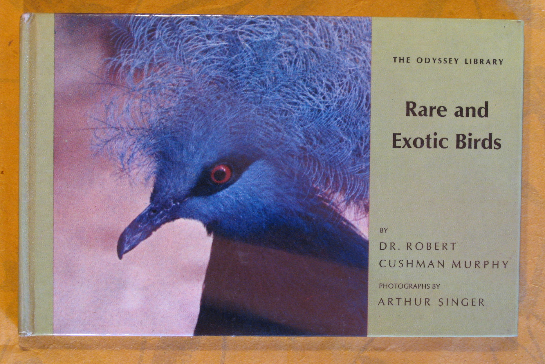 Image for The Odyssey Library 15:  Rare and Exotic Birds