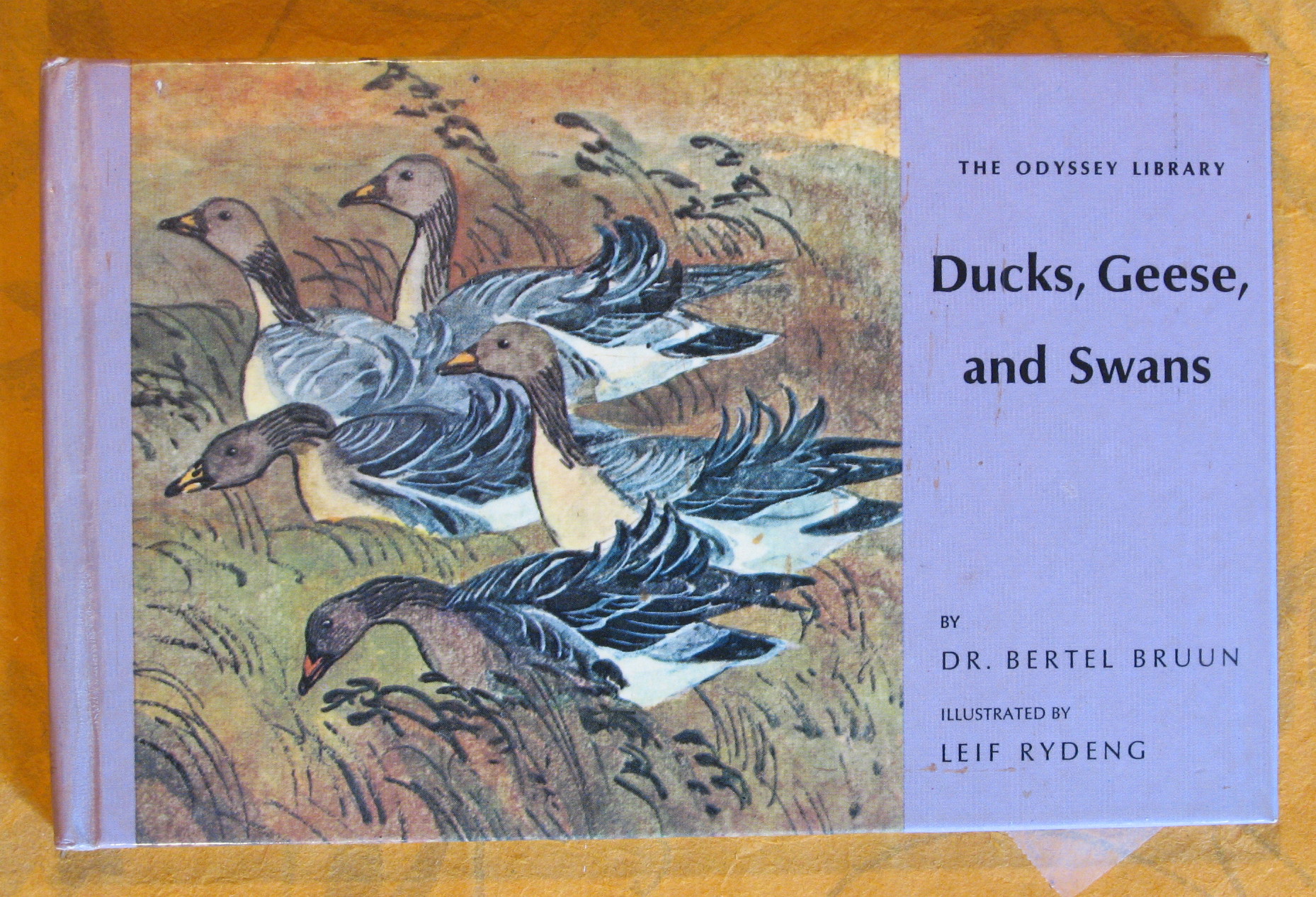 Image for The Odyssey Library 18:  Ducks, Geese, and Swans