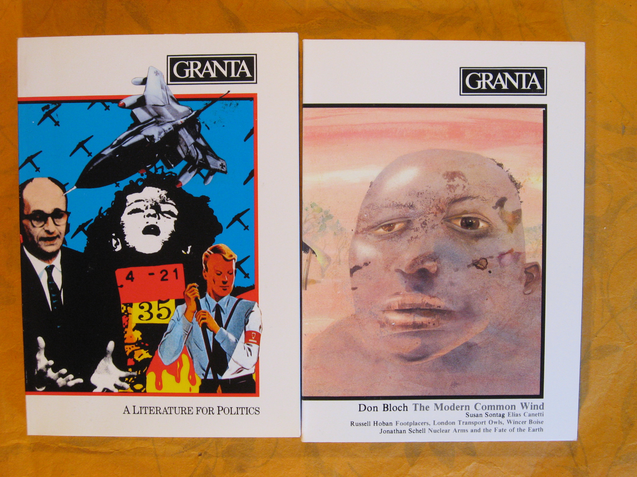 Ernest k ellogg gann brigid brophy essay image