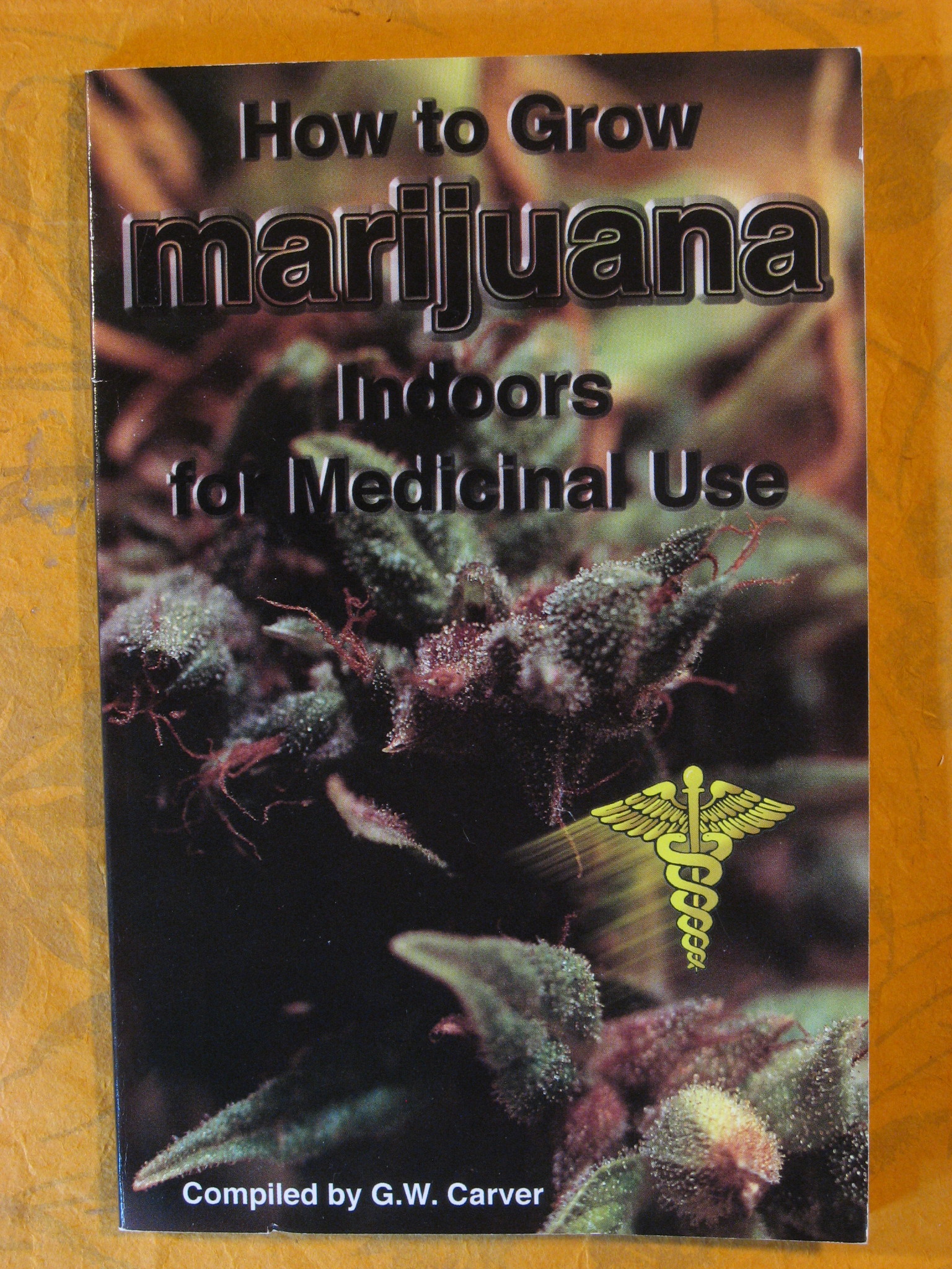 Image for How to Grow Marijuana Indoors for Medicinal Use