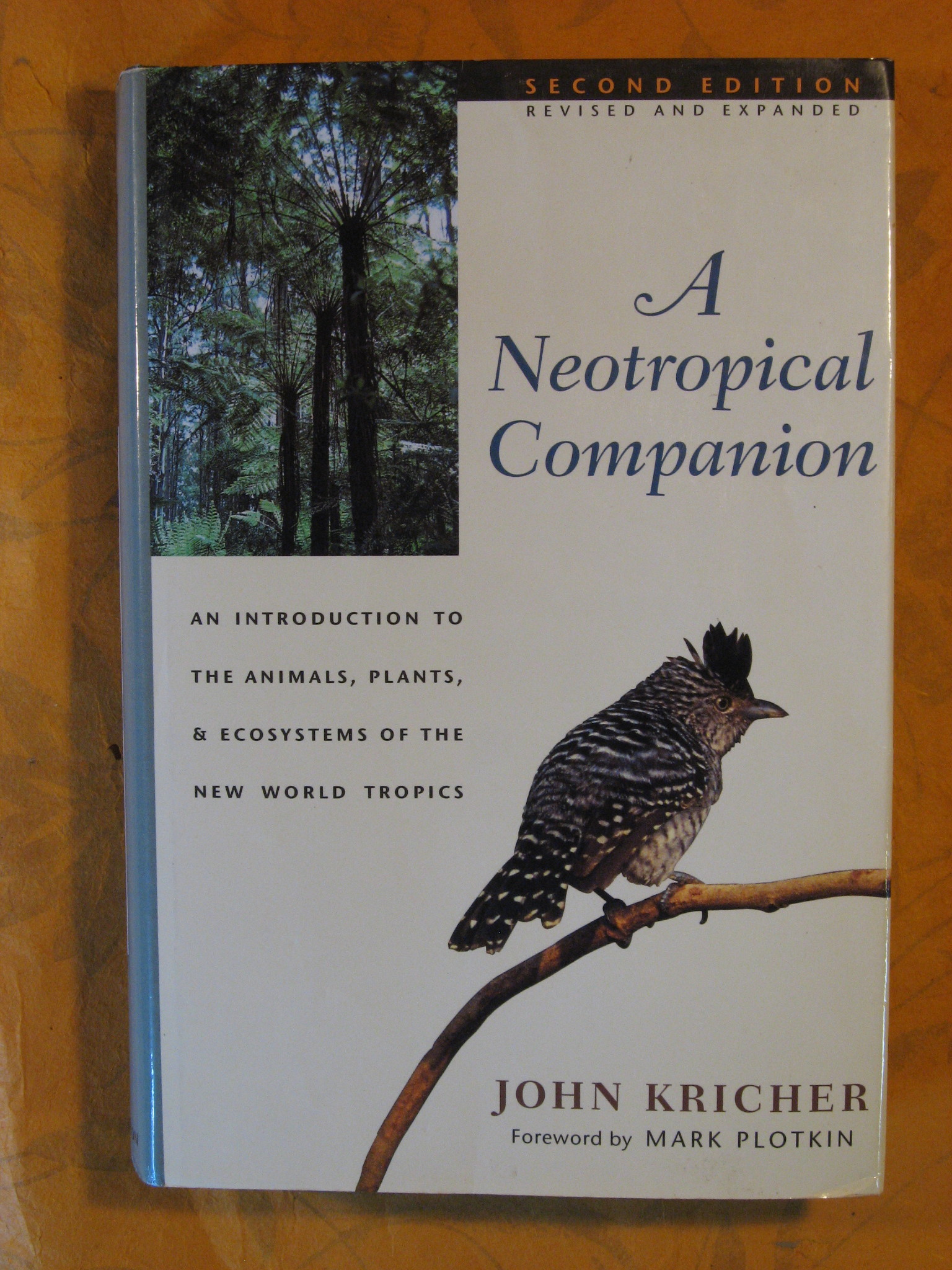 Image for A Neotropical Companion: An Introduction to the Animals, Plants and Ecosystems of the New World Tropics