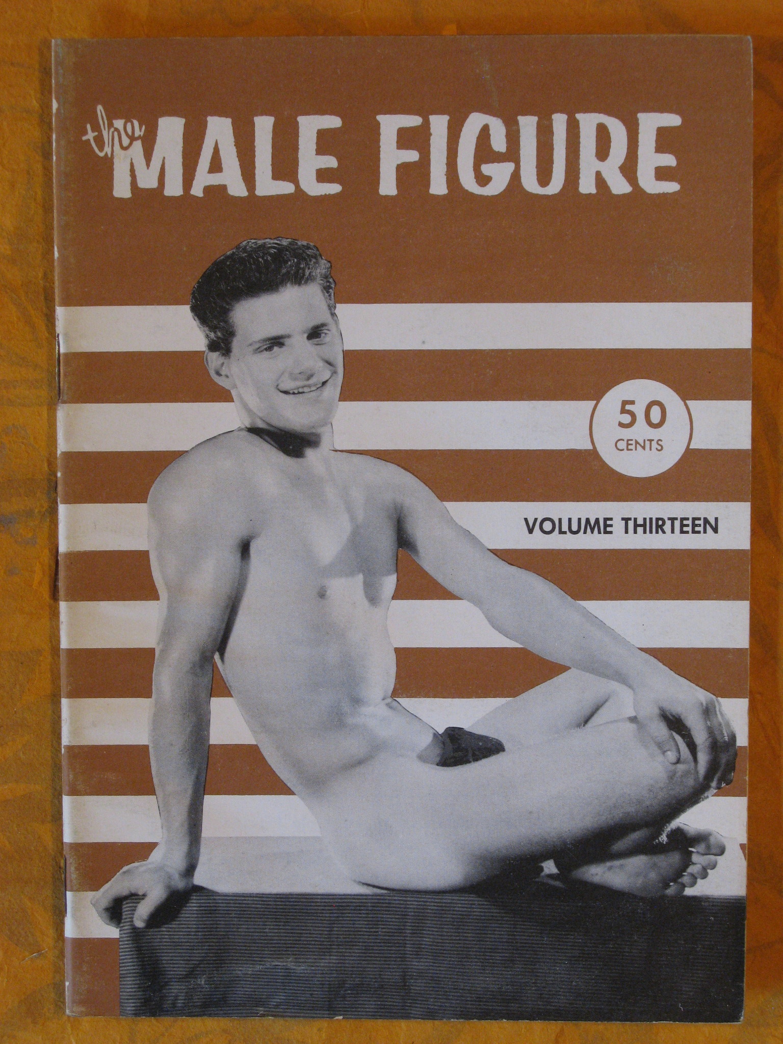 Image for The Male Figure Volume Thirteen