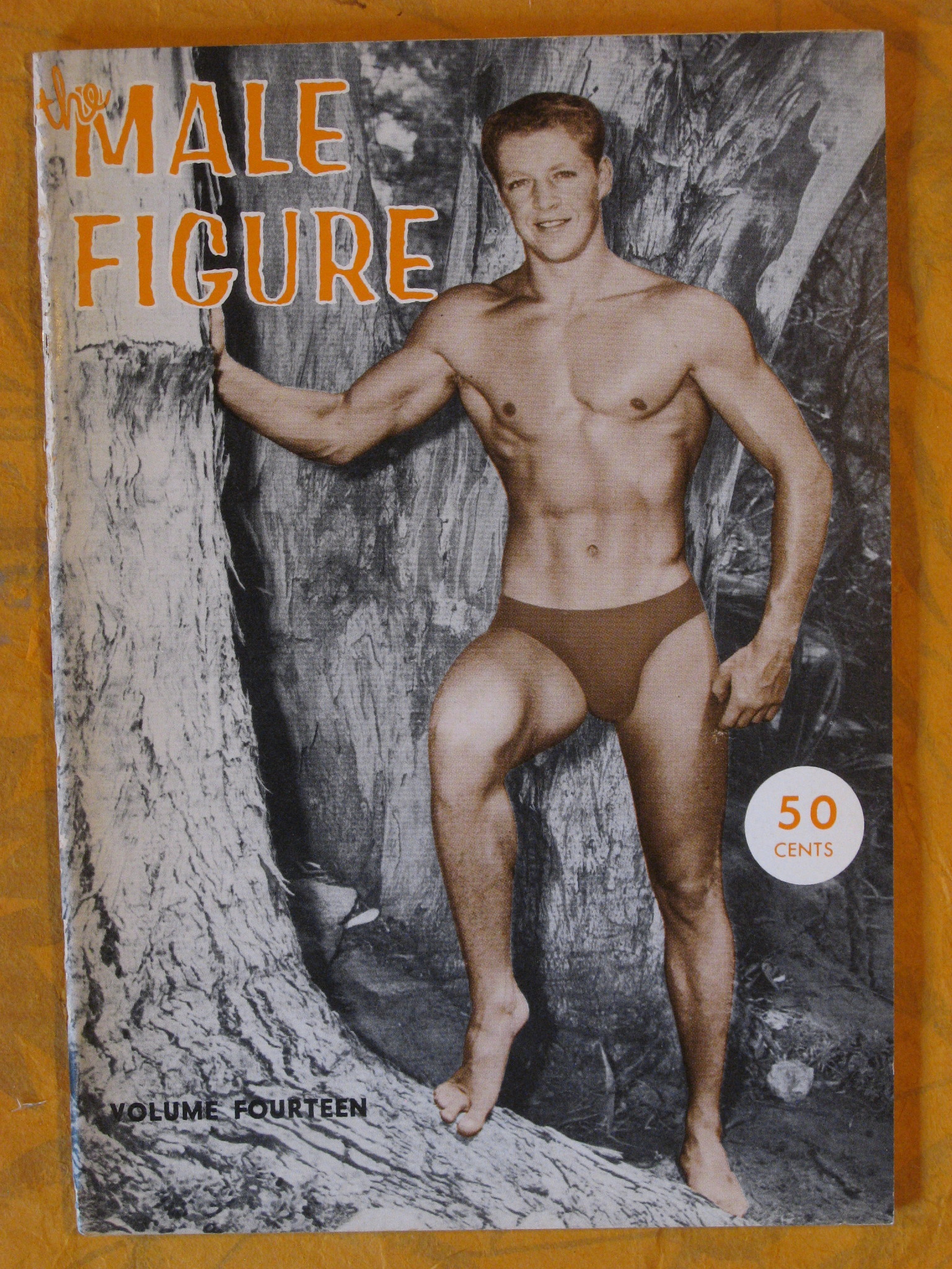 Image for The Male Figure Volume Fourteen