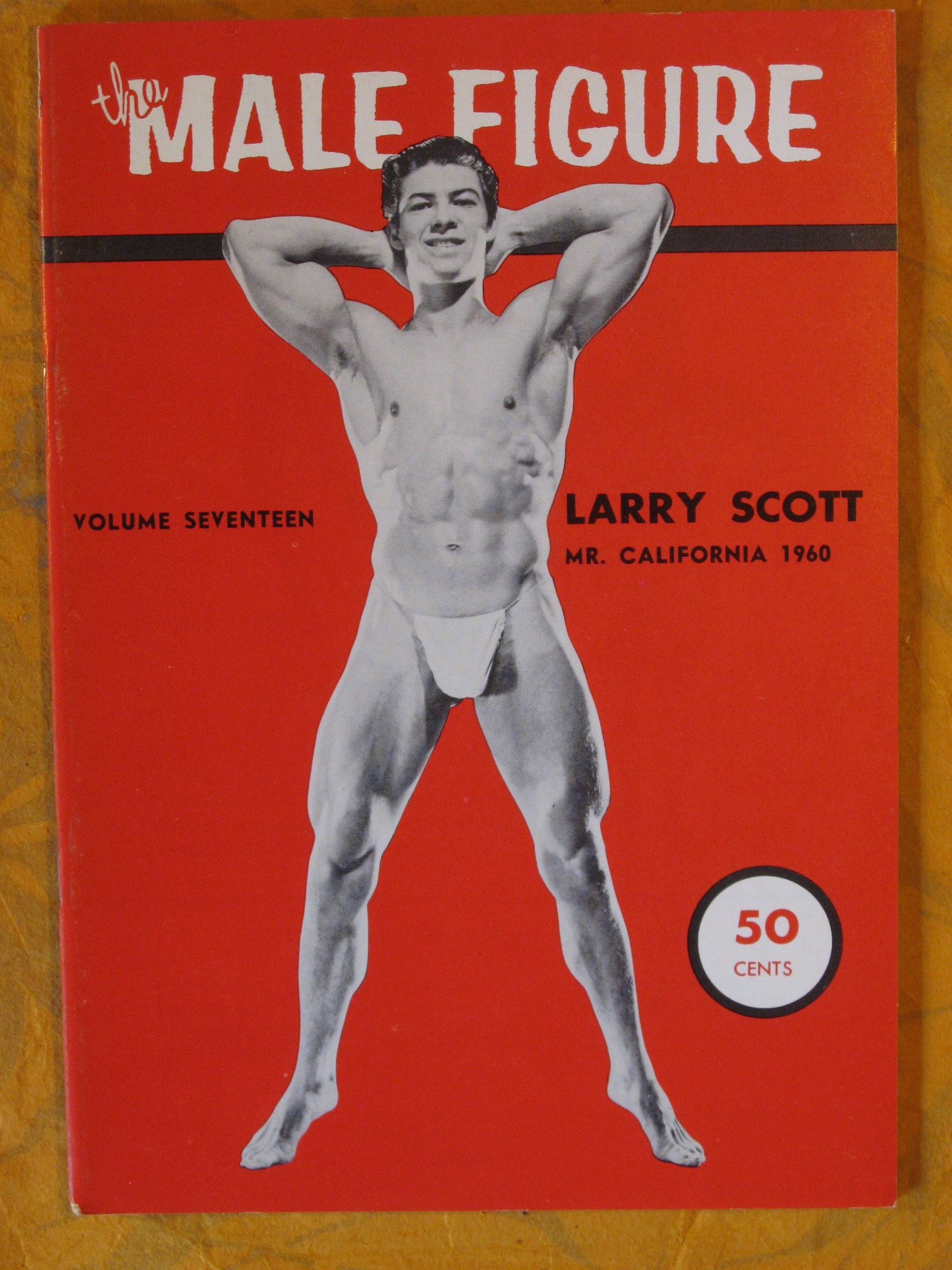 Image for The Male Figure Volume Seventeen