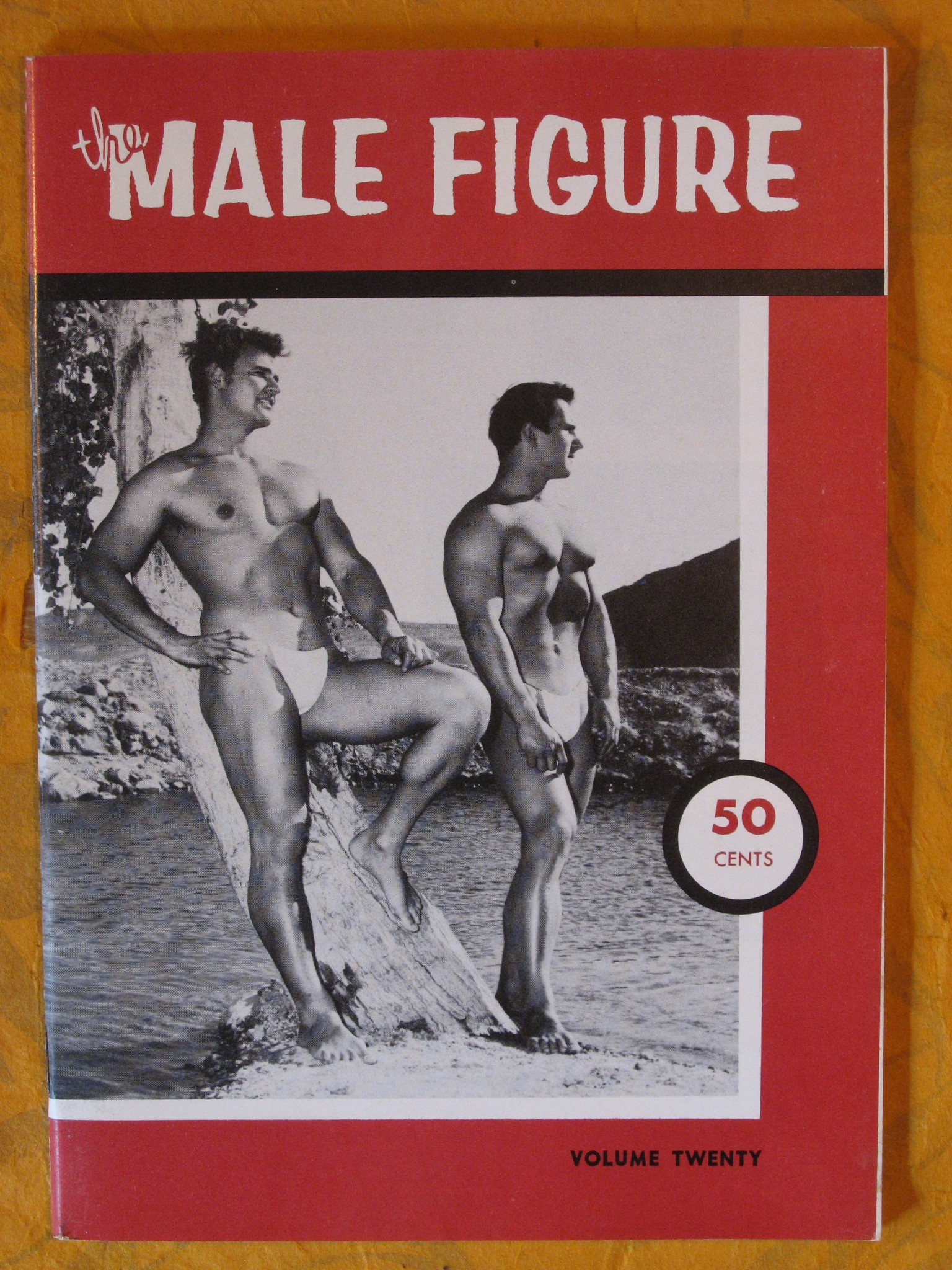 Image for The Male Figure Volume Twenty