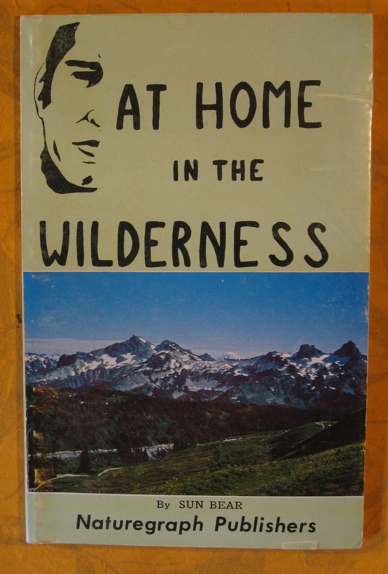 Image for At Home in the Wilderness