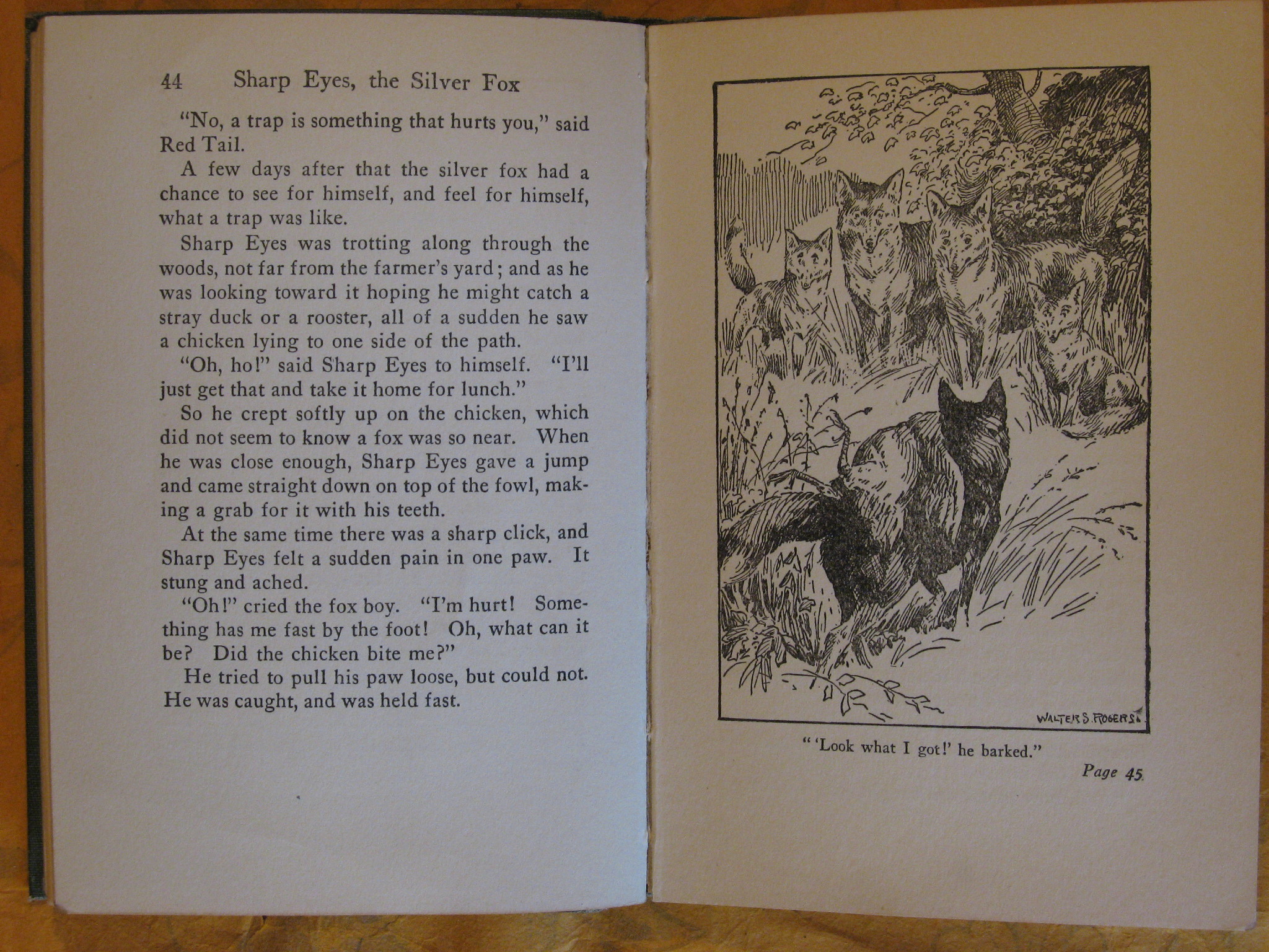 Thumbnail Image