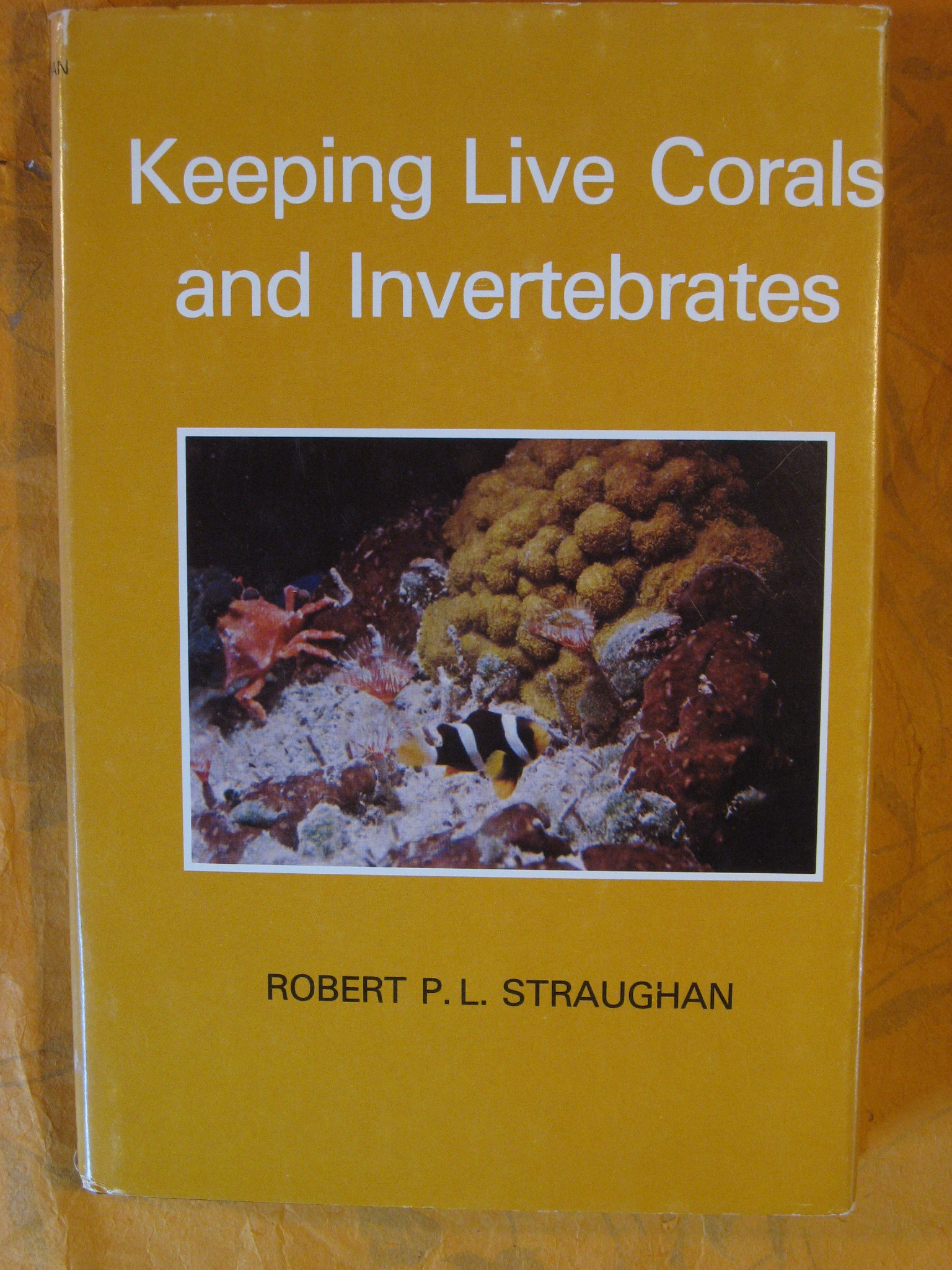 Image for Keeping Live Corals and Invertebrates
