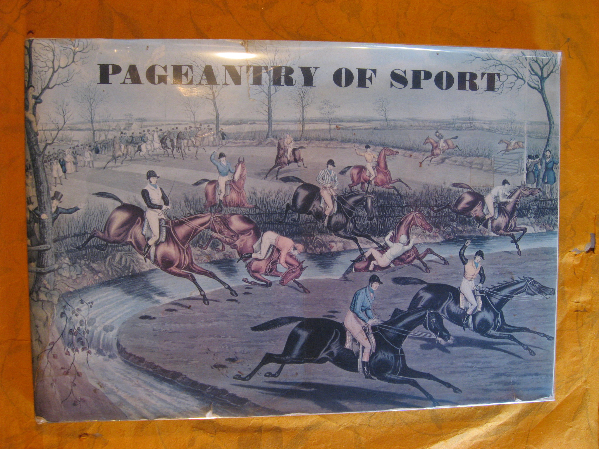 Image for Pageantry of Sport:  From the Age of Chivalry to the Age of Victoria