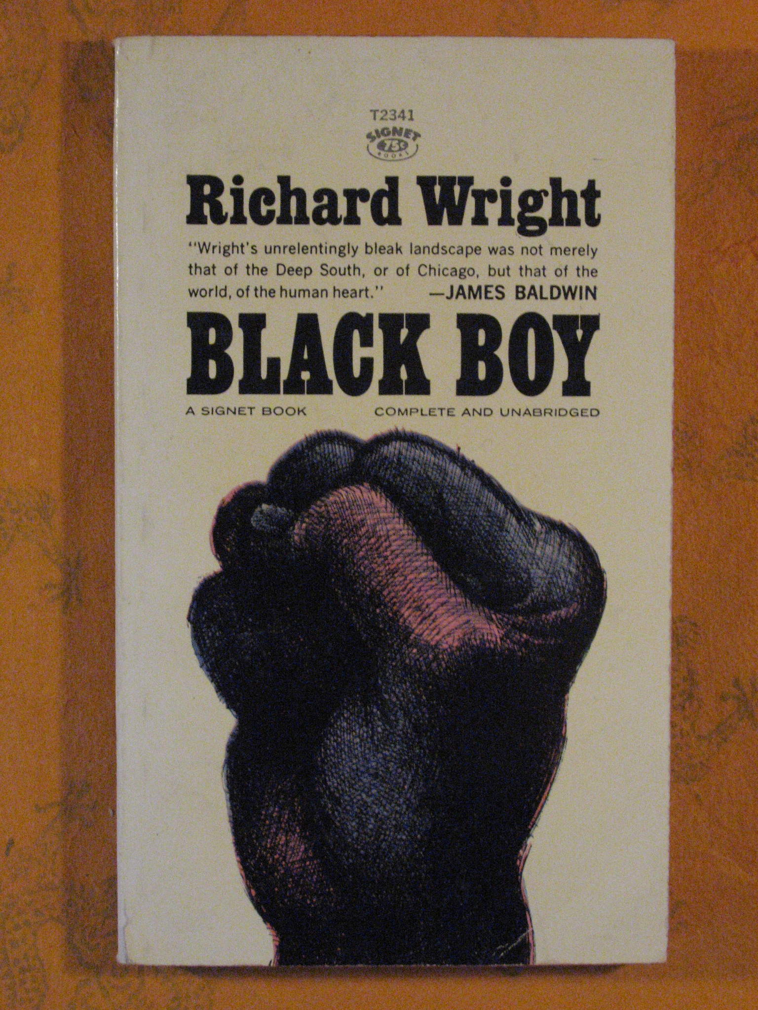 Image for Black Boy