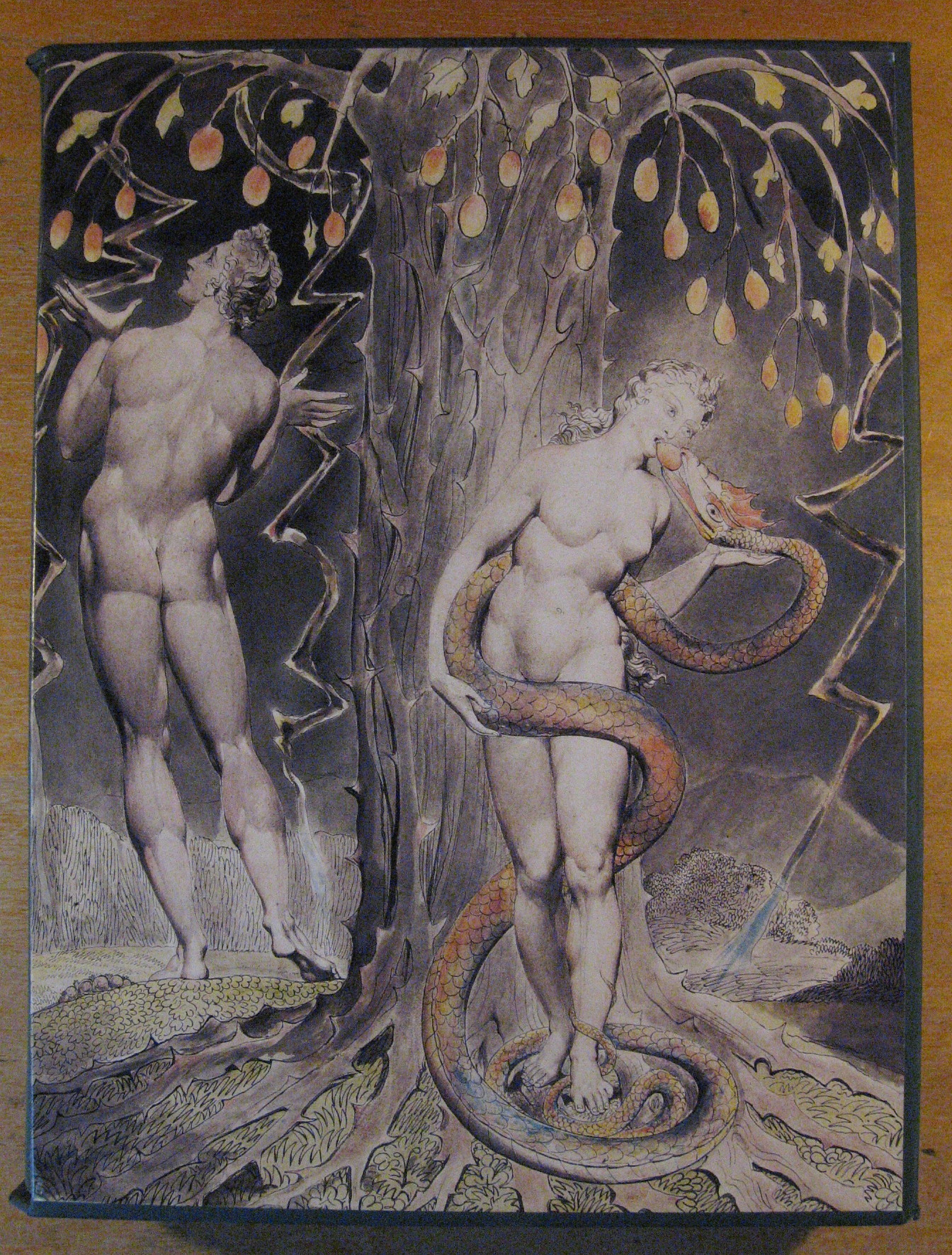Image for Paradise Lost: A Poem in Twelve Books