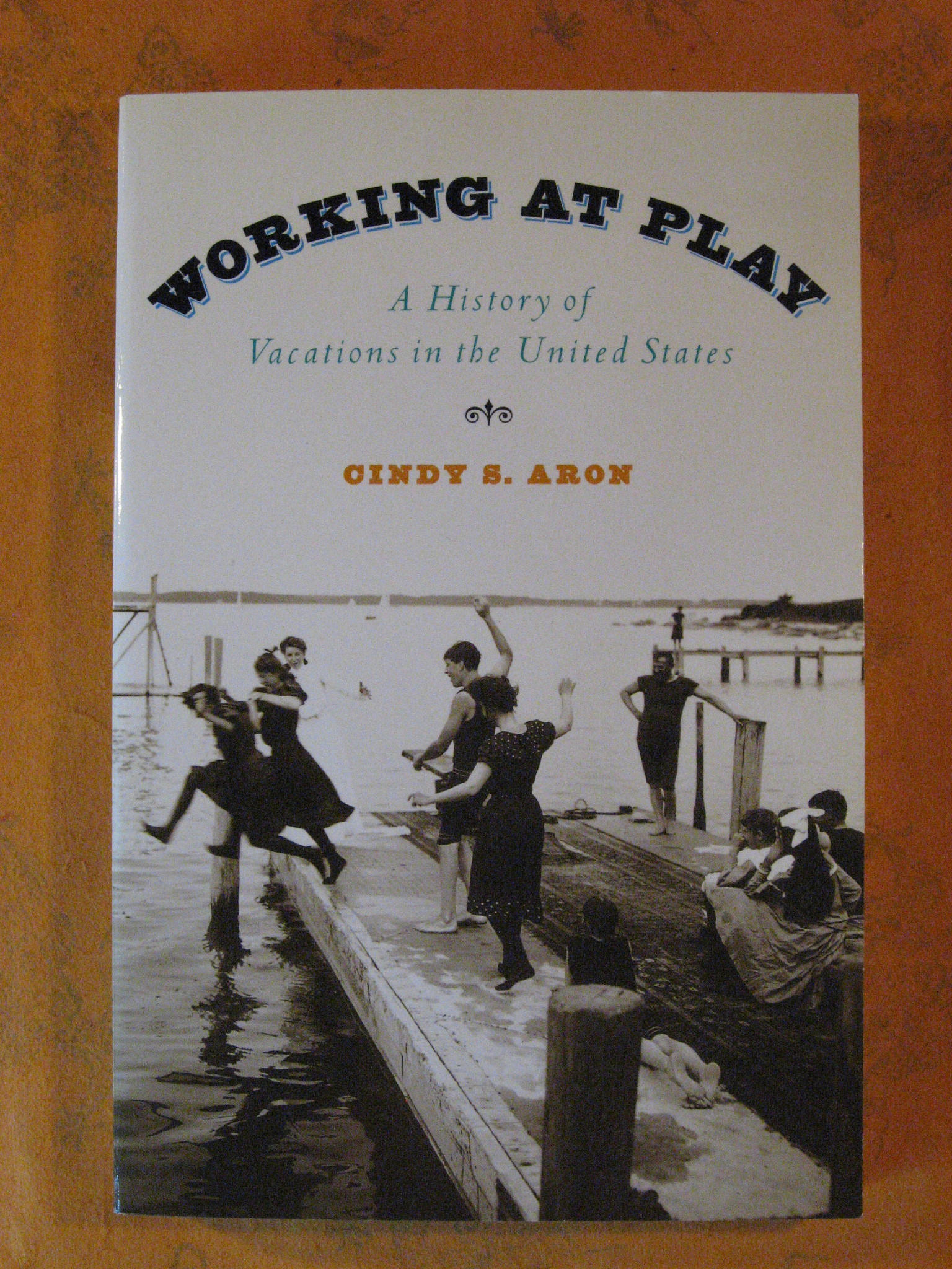 Image for Working At Play: A History of Vacations in the United States