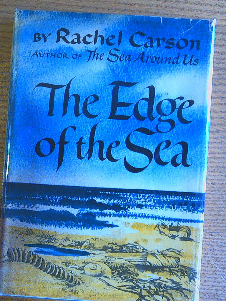 Image for The Edge of the Sea