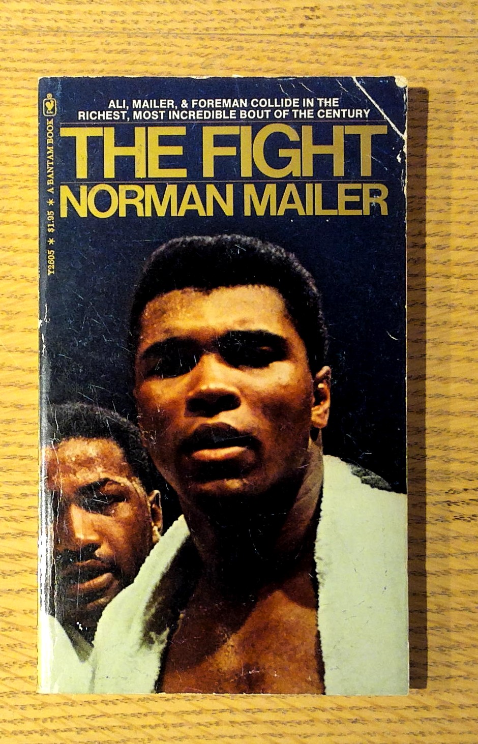 Image for The Fight