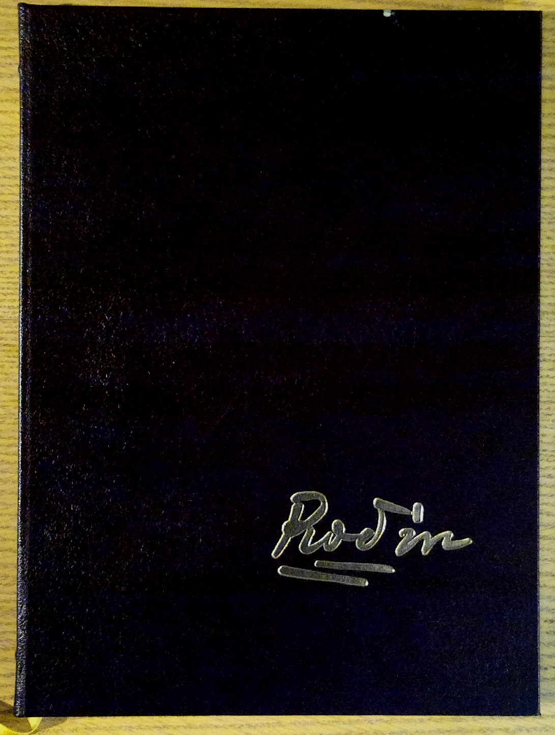 Image for Rodin