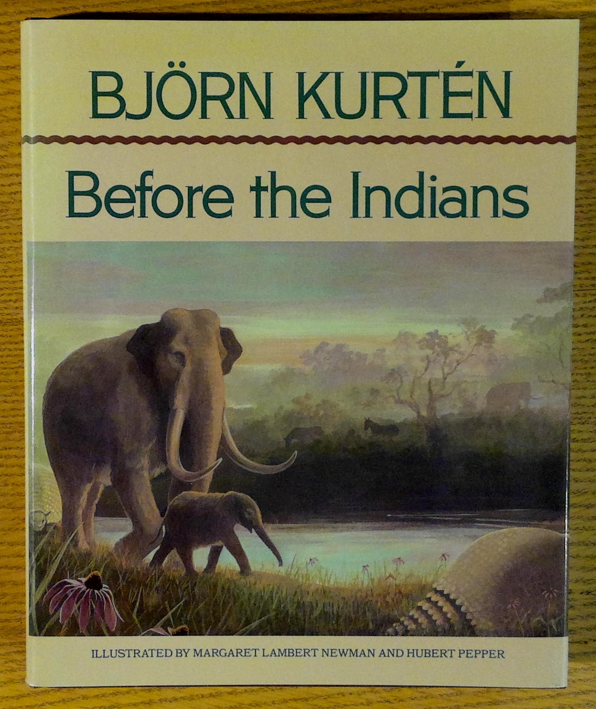 Image for Before the Indians