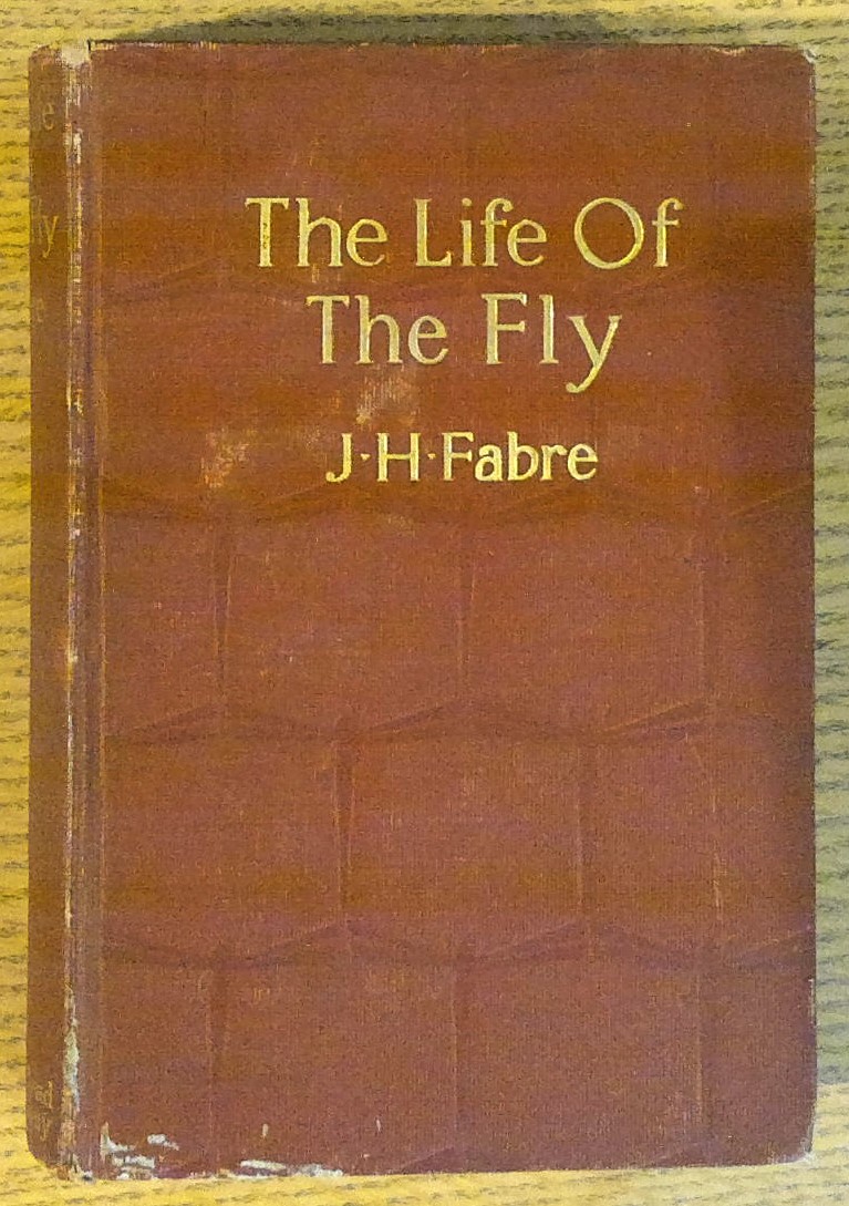 Image for The Life of the Fly: With which are Interspersed Some Chapters of Autobiography