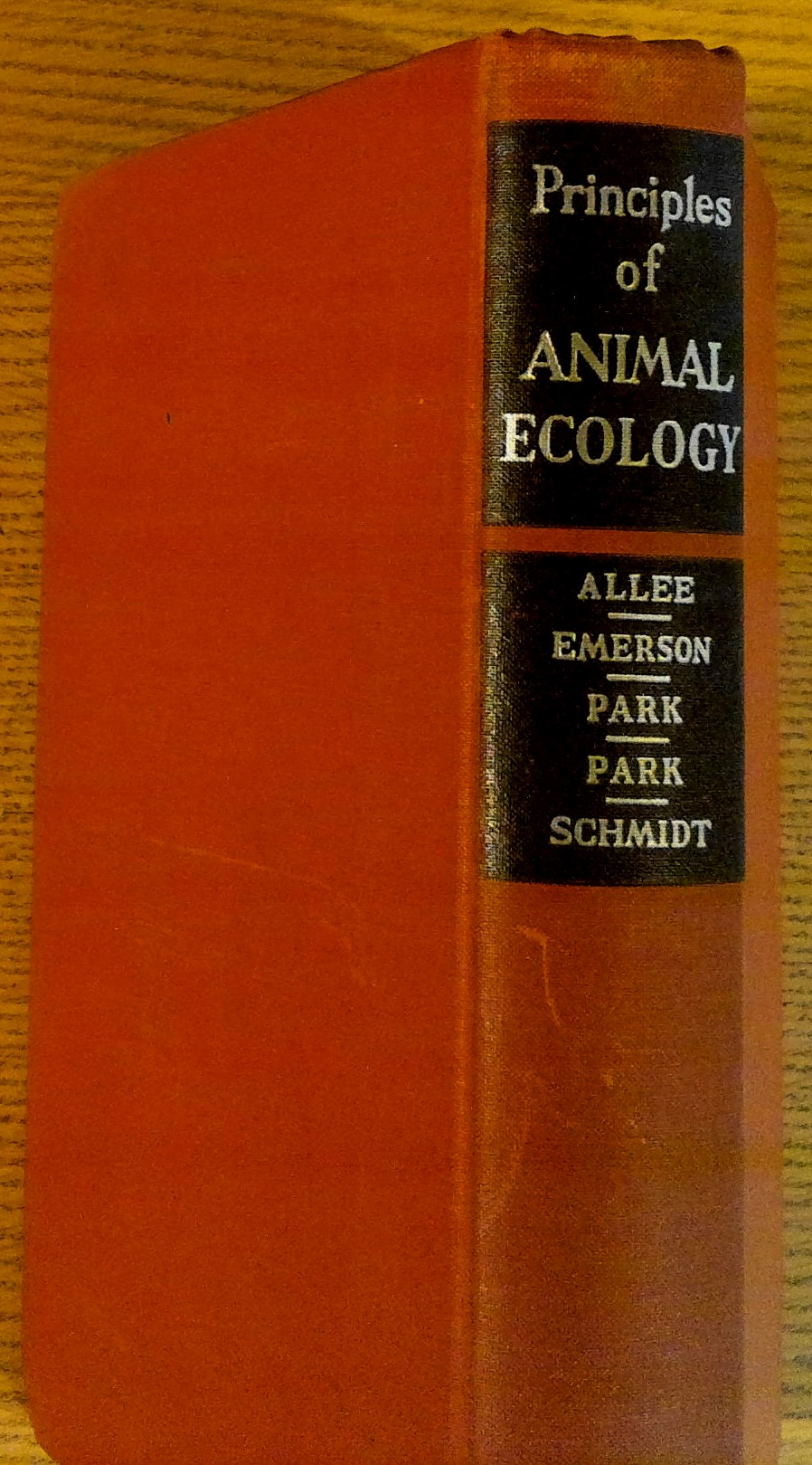 Image for Principles of Animal Ecology