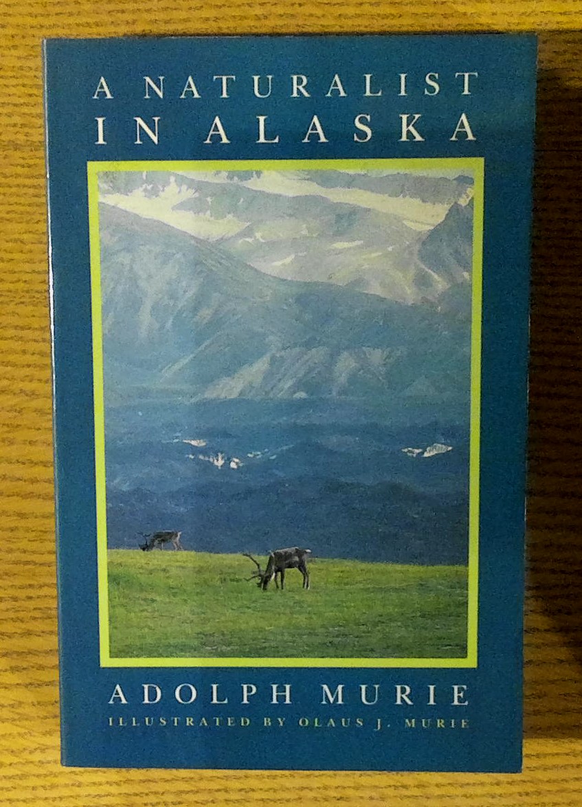 Image for A Naturalist in Alaska