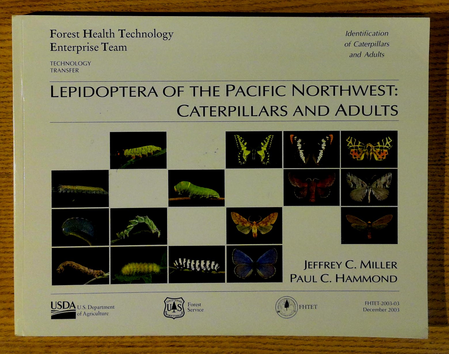 Image for Lepidoptera of the Pacific Northwest:  Caterpillars and Adults