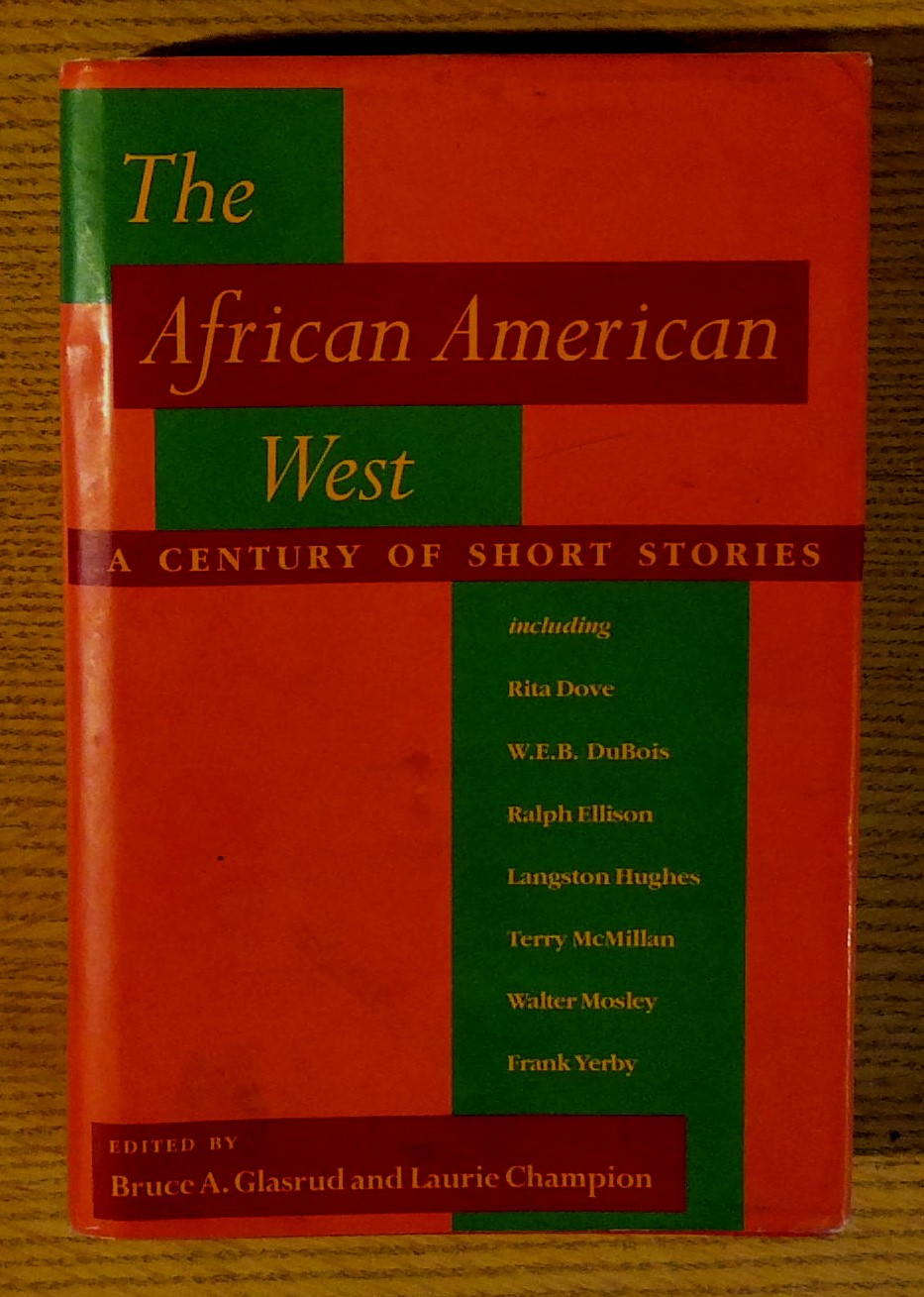 Image for The African American West: A Century of Short Stories