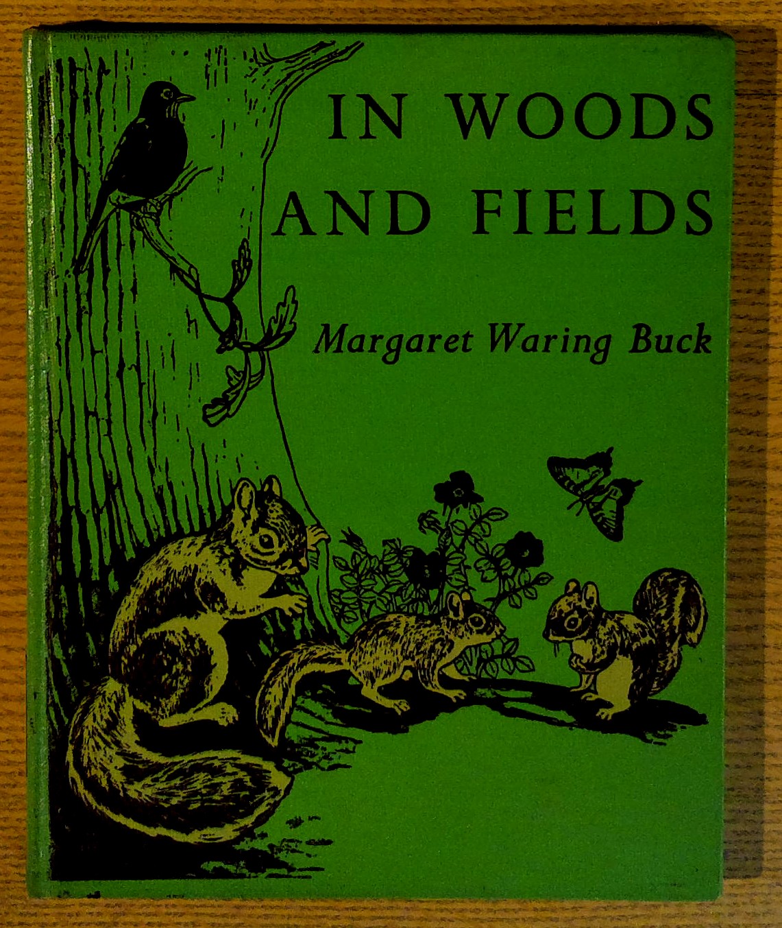Image for In Woods and Fields