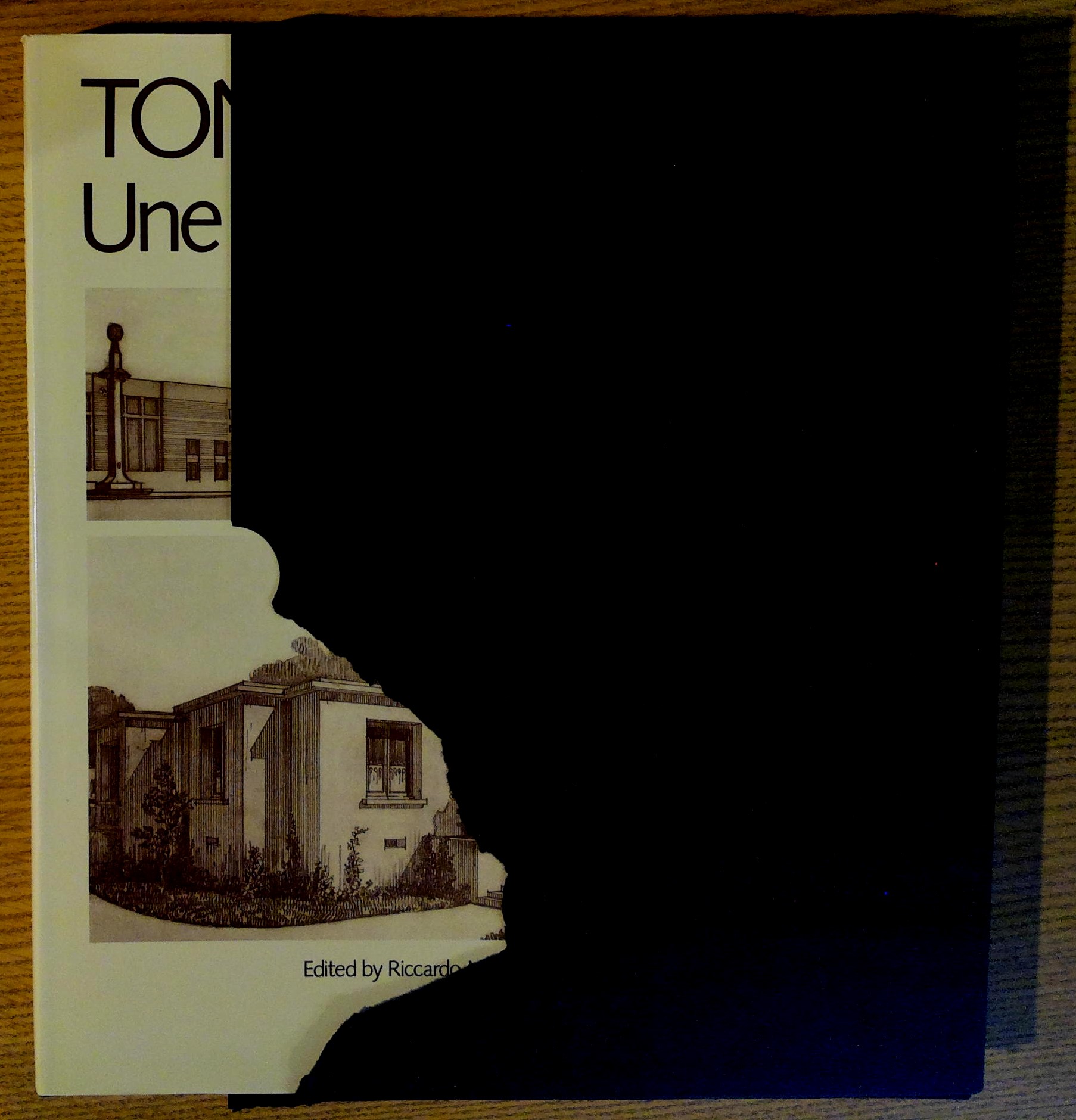 Tony Garnier Une Cit? Industrielle