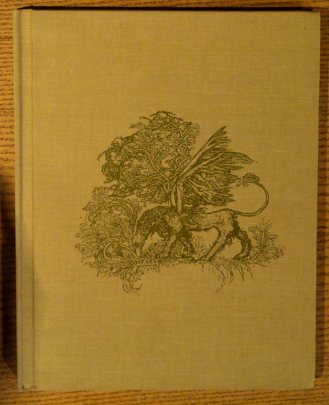 Timi, The Tale of a Griffin