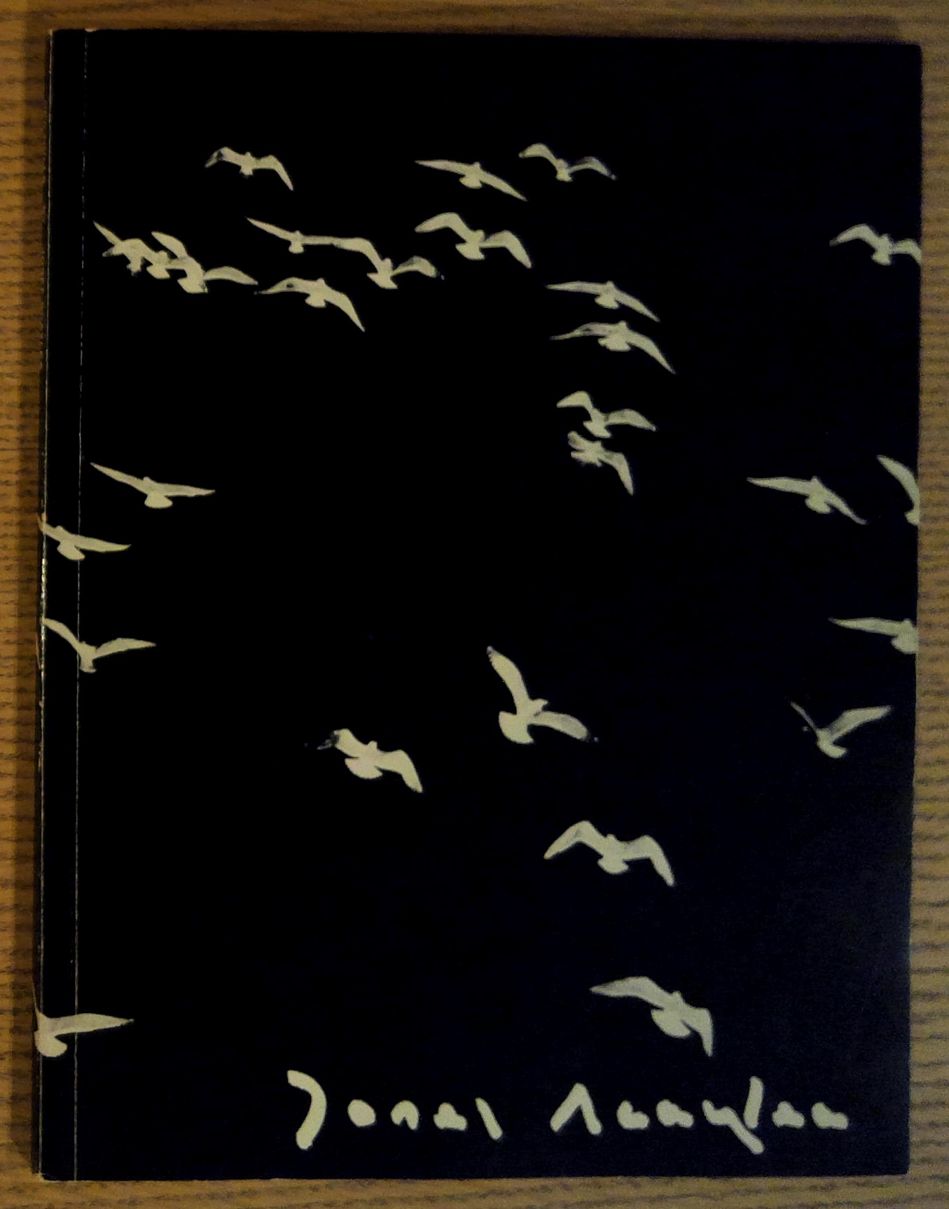 Sea Gulls By Josef Scaylea