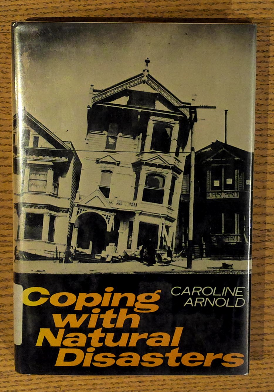 Coping with Natural Disasters
