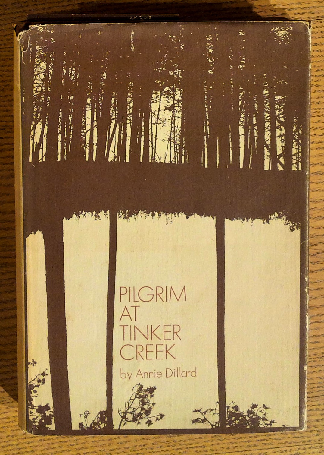 Pilgrim At Tinker Creek