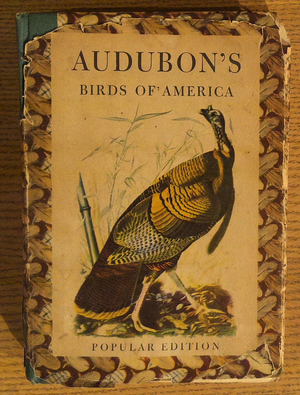 Audubon's Birds of America (Popular Edition)