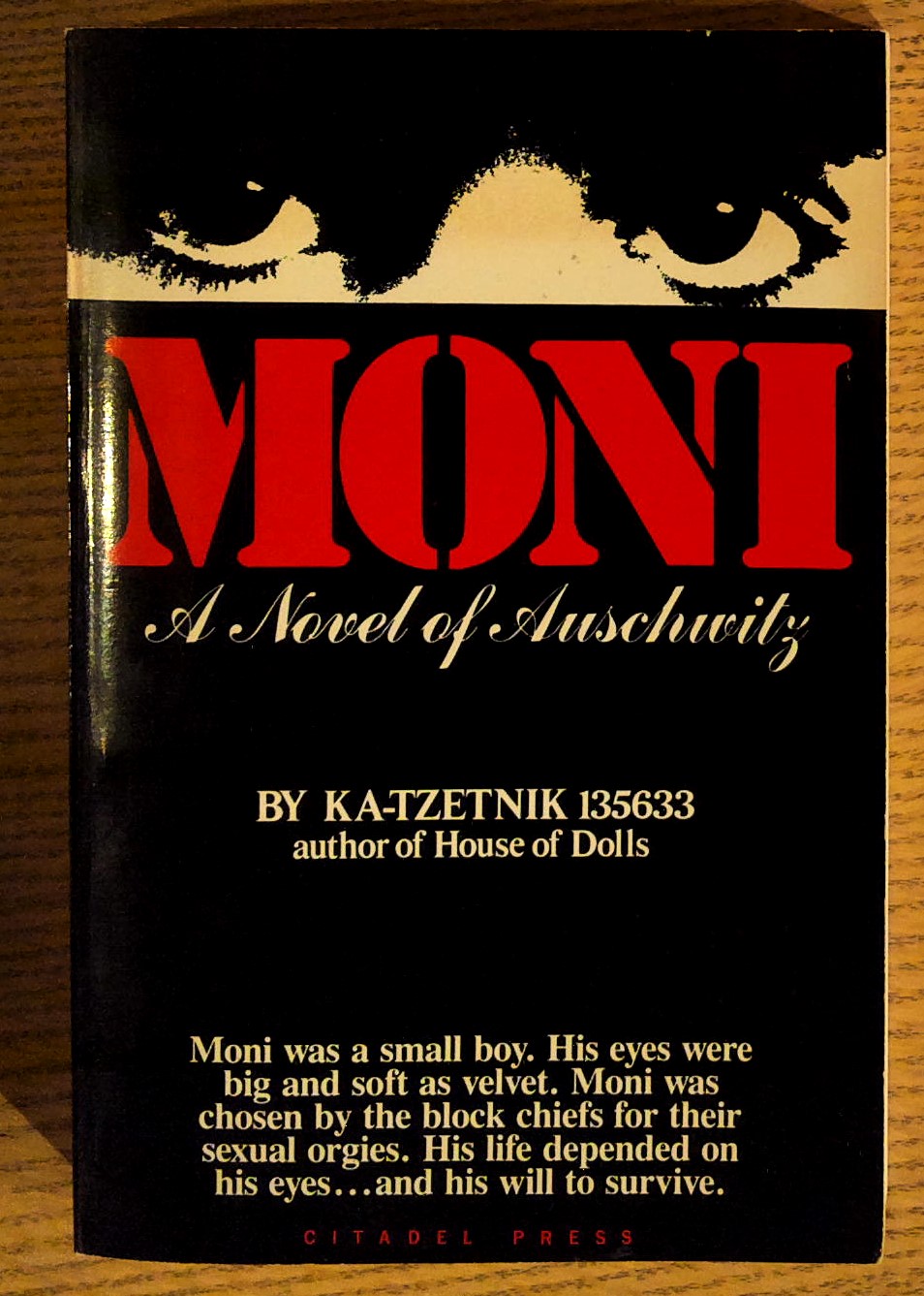 Moni: A Novel of Auschwitz