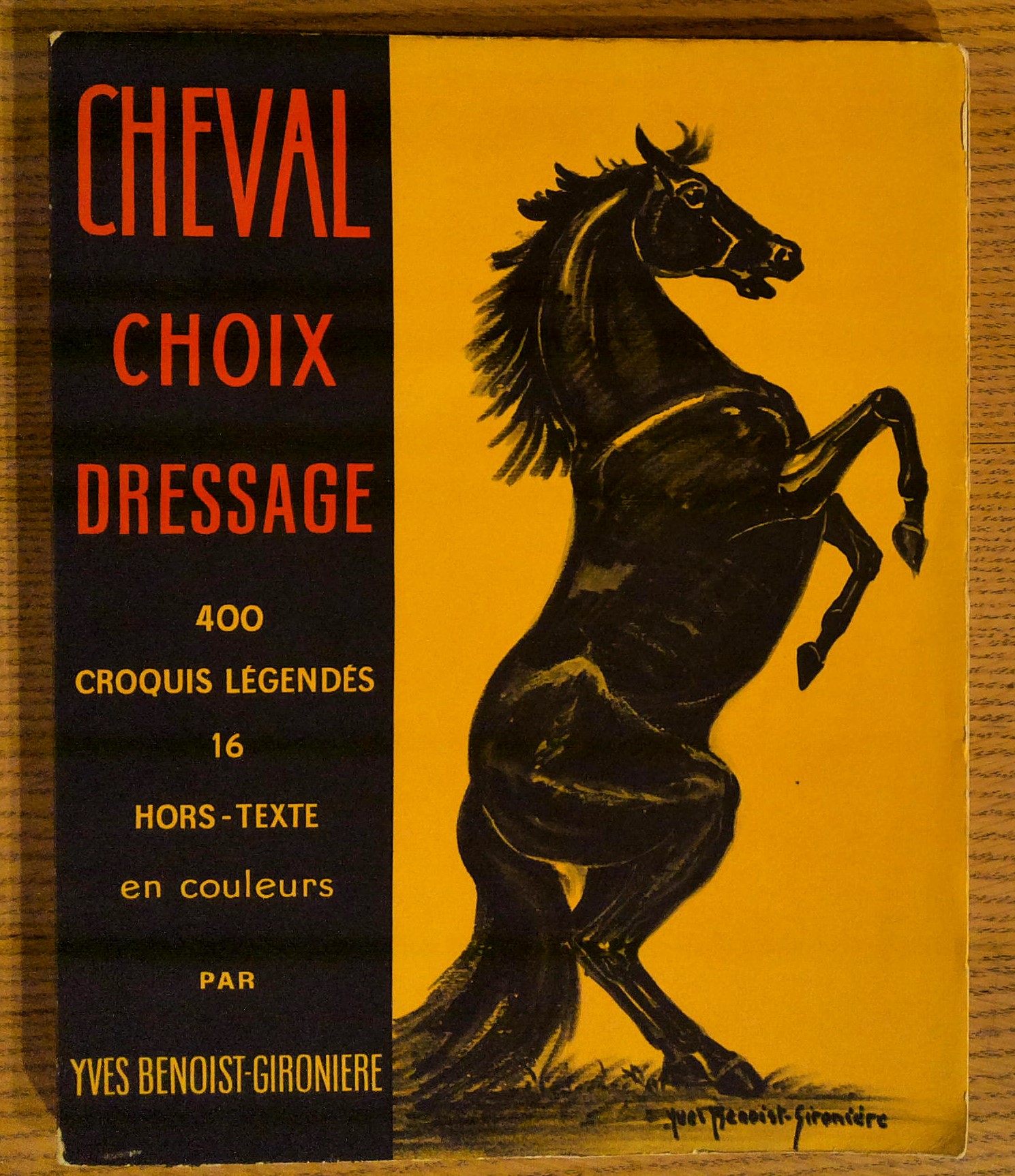 Cheval Choix Dressage