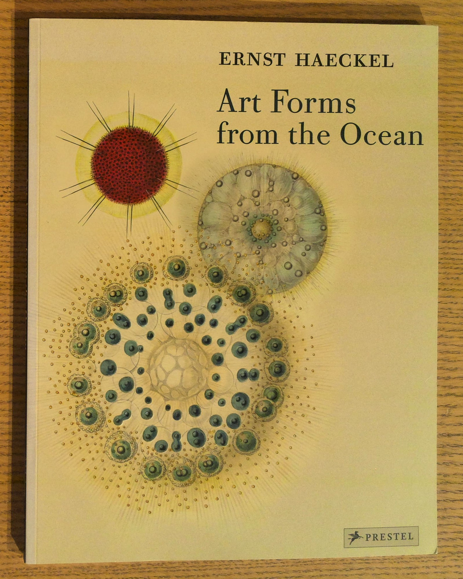 Art Forms from the Ocean: The Radiolarian Atlas of 1862