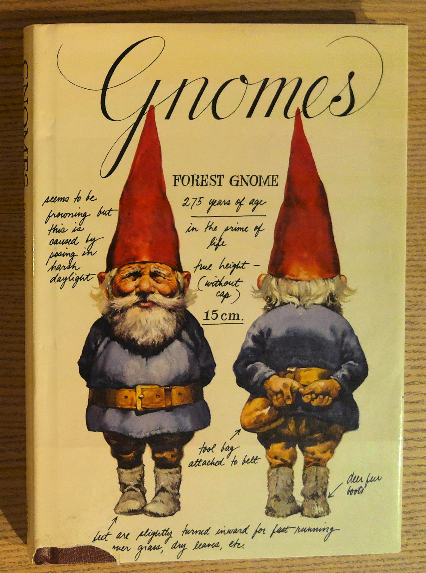 Gnomes