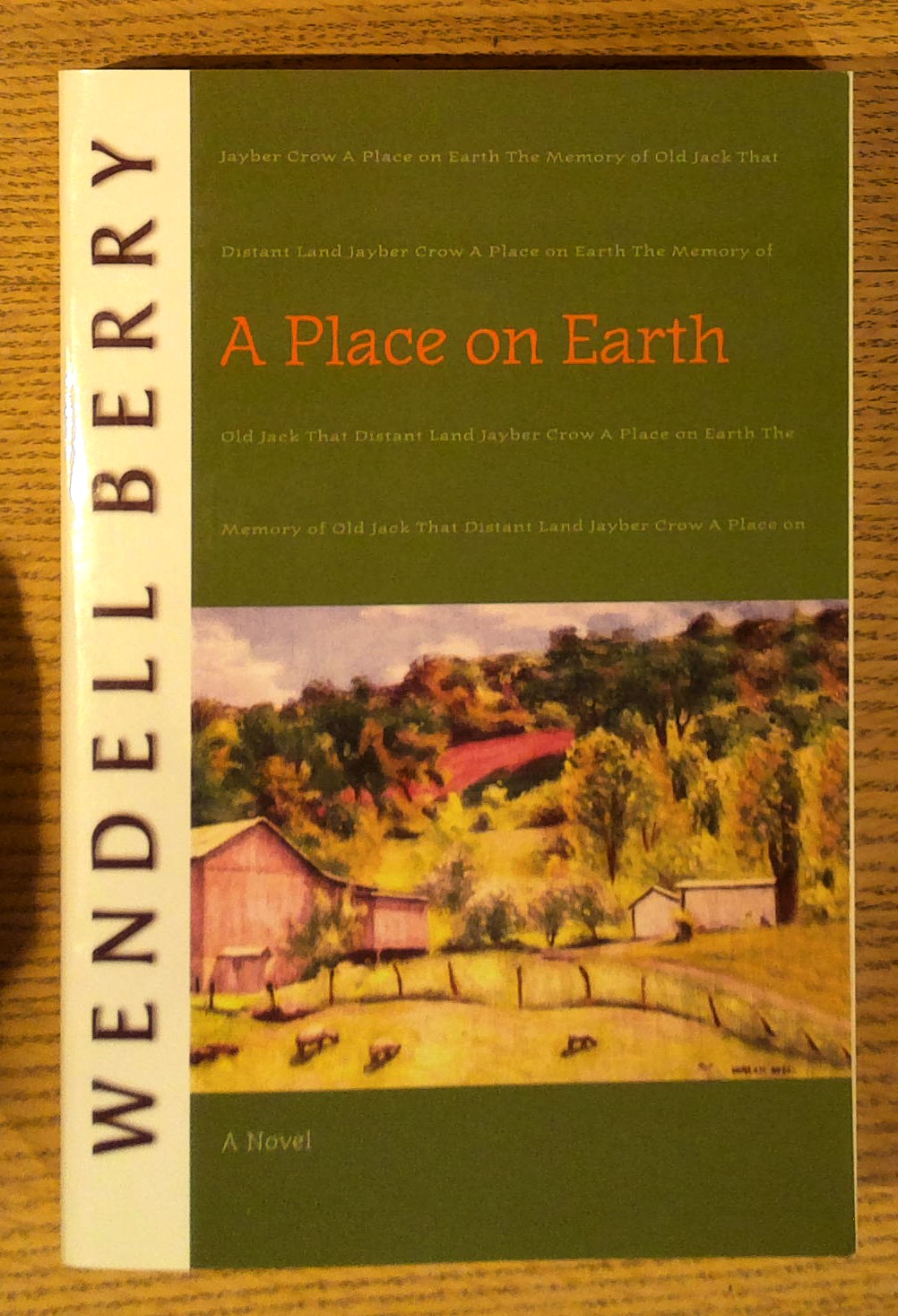 A Place on Earth: A Novel