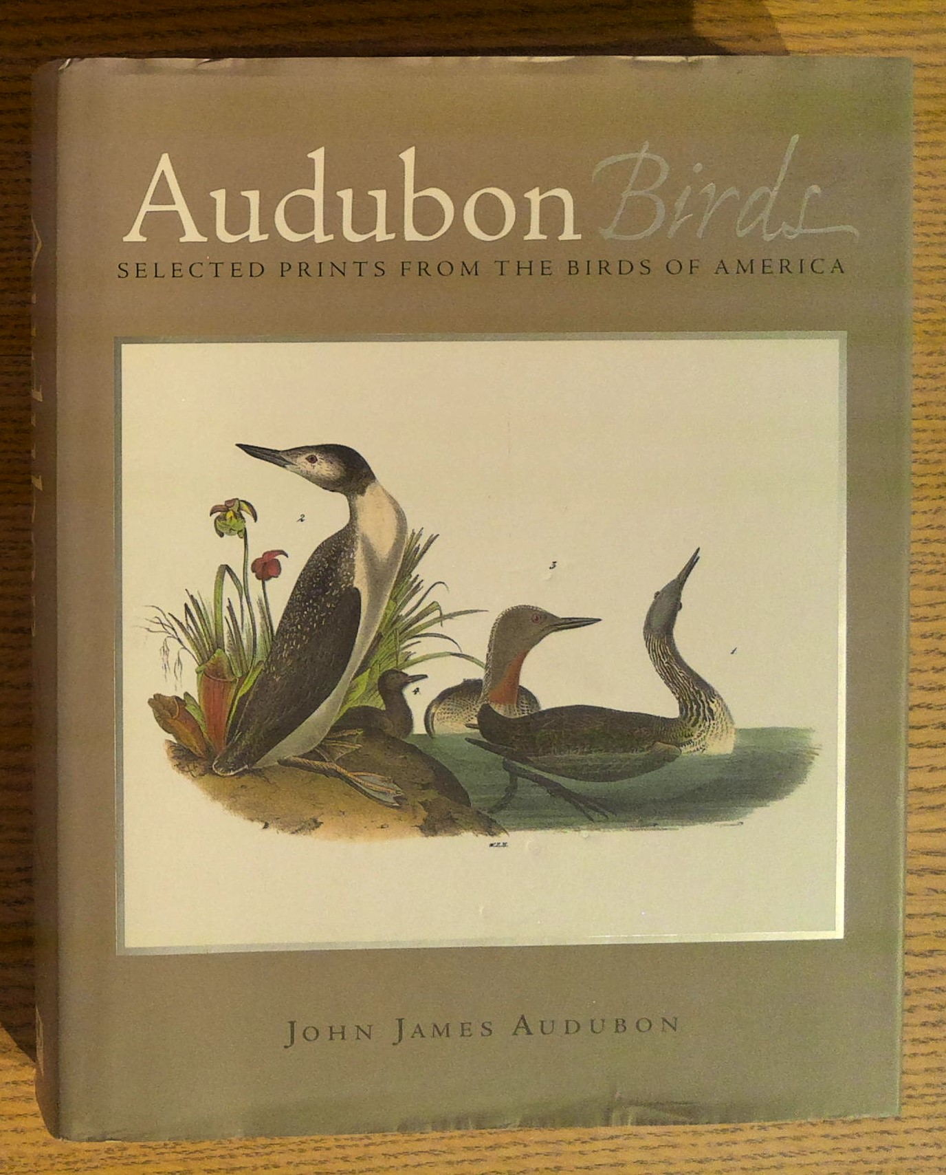 Audubon Birds: Selected Prints From the Birds of America