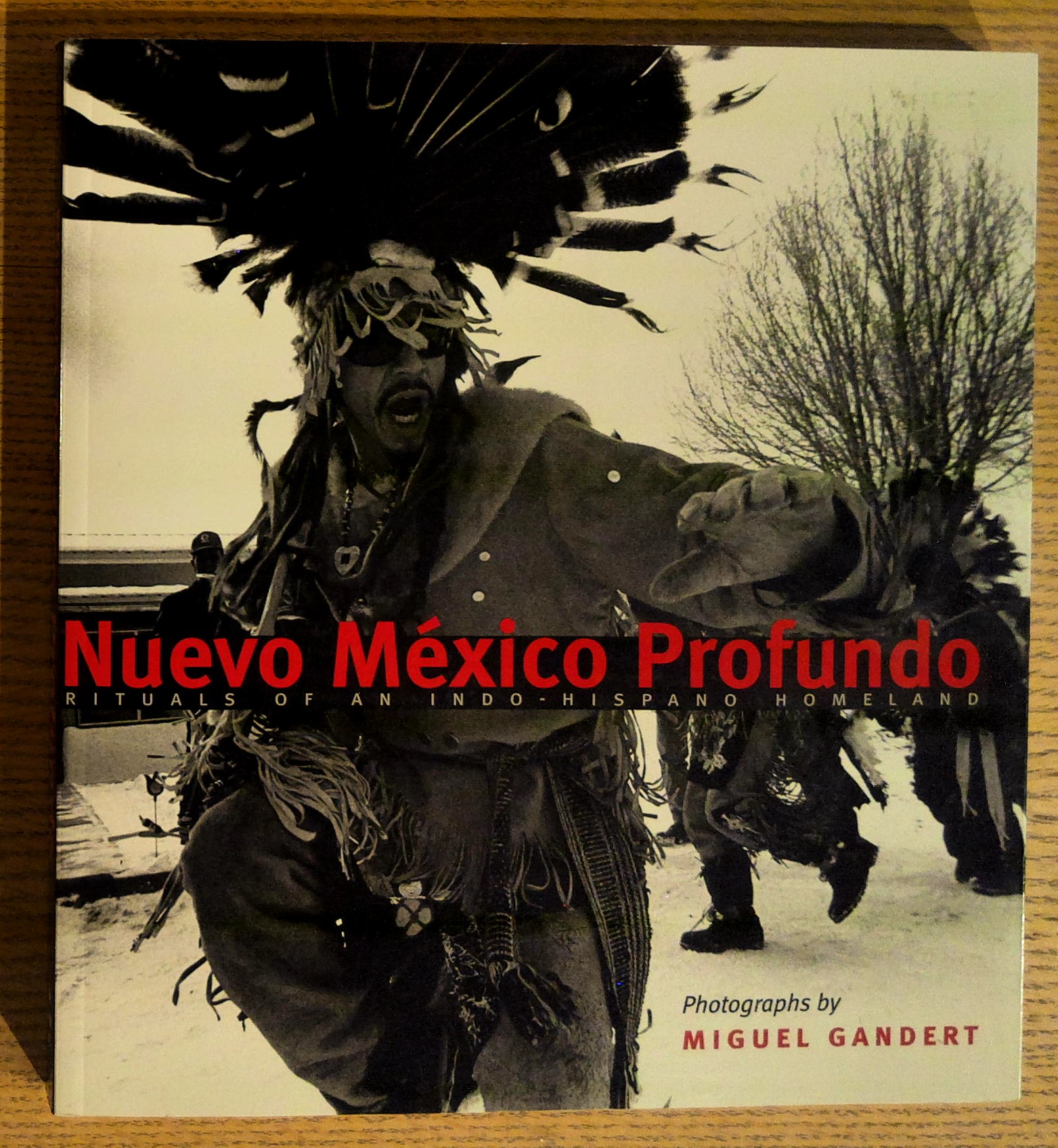 Nuevo Mexico Profundo: Rituals of an Indo-Hispano Homeland