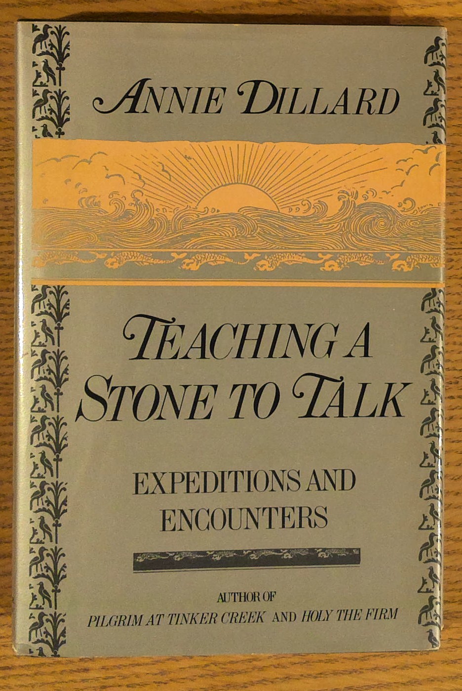 Teaching a Stone to Talk: Expeditions and Encounters